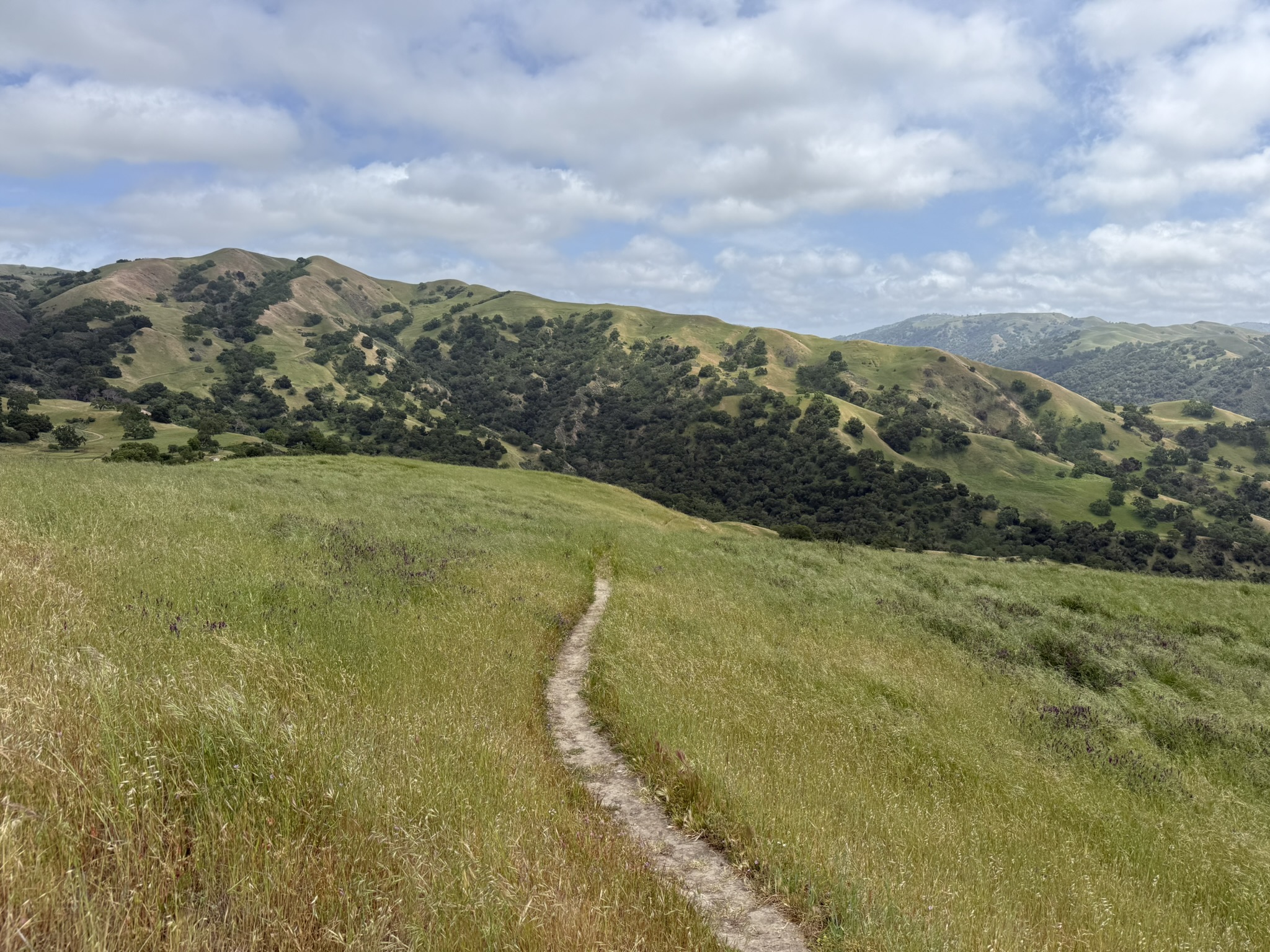 Sunol Wilderness Regional Preserve