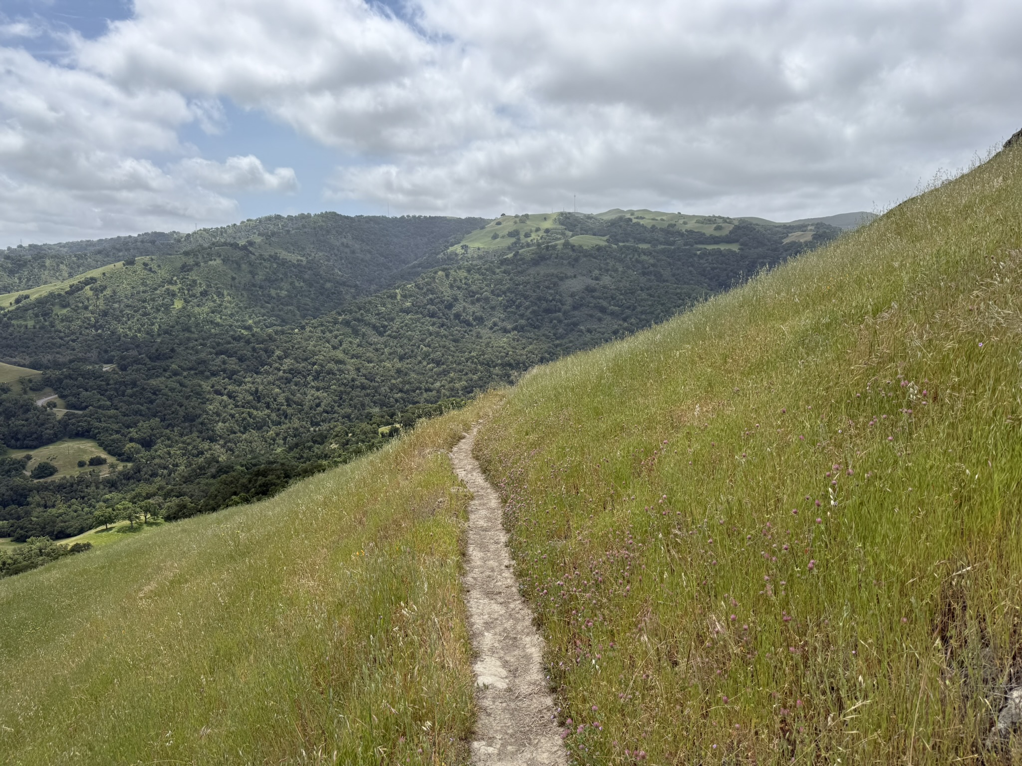 Sunol Wilderness Regional Preserve