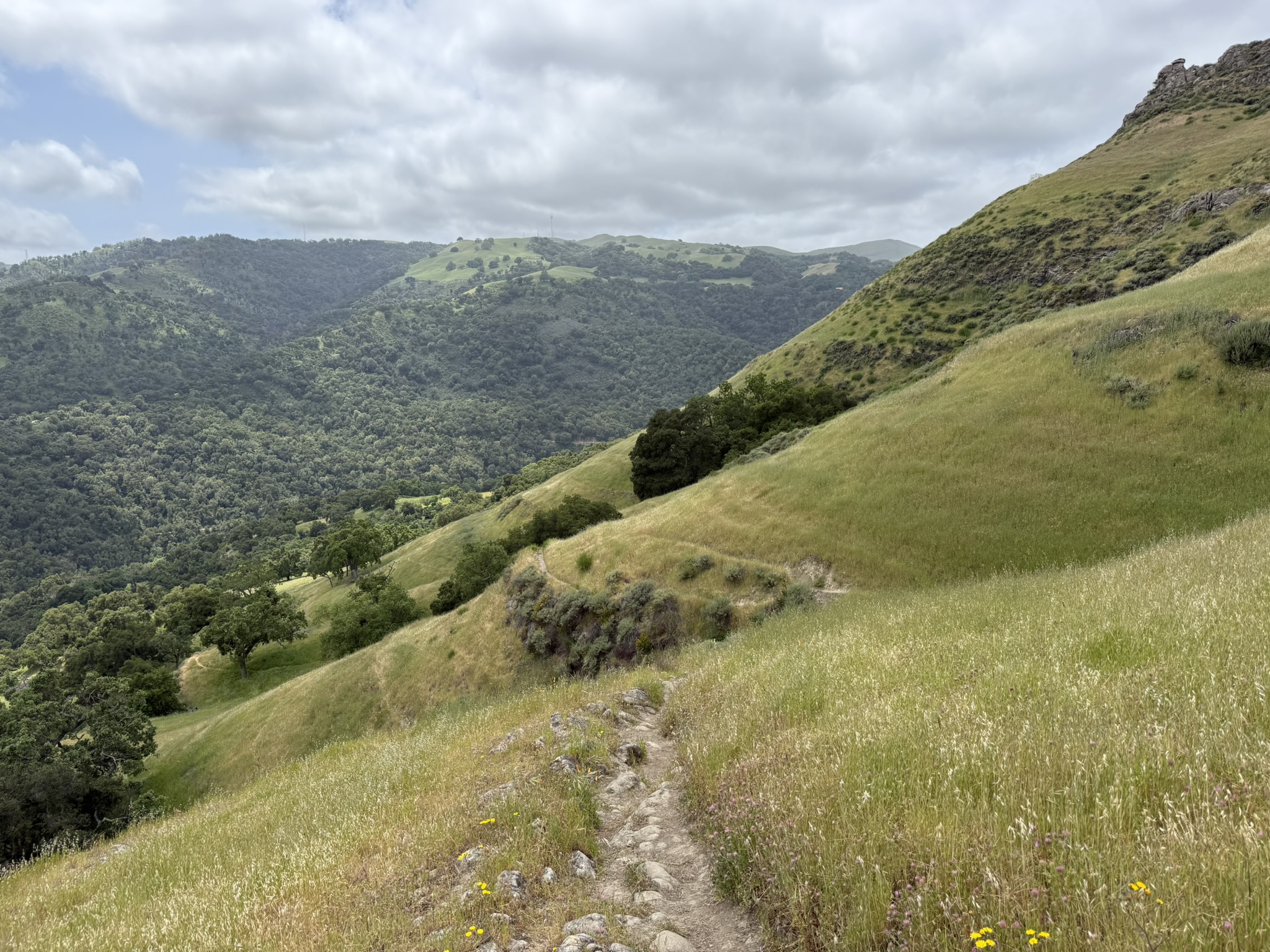 Sunol Wilderness Regional Preserve