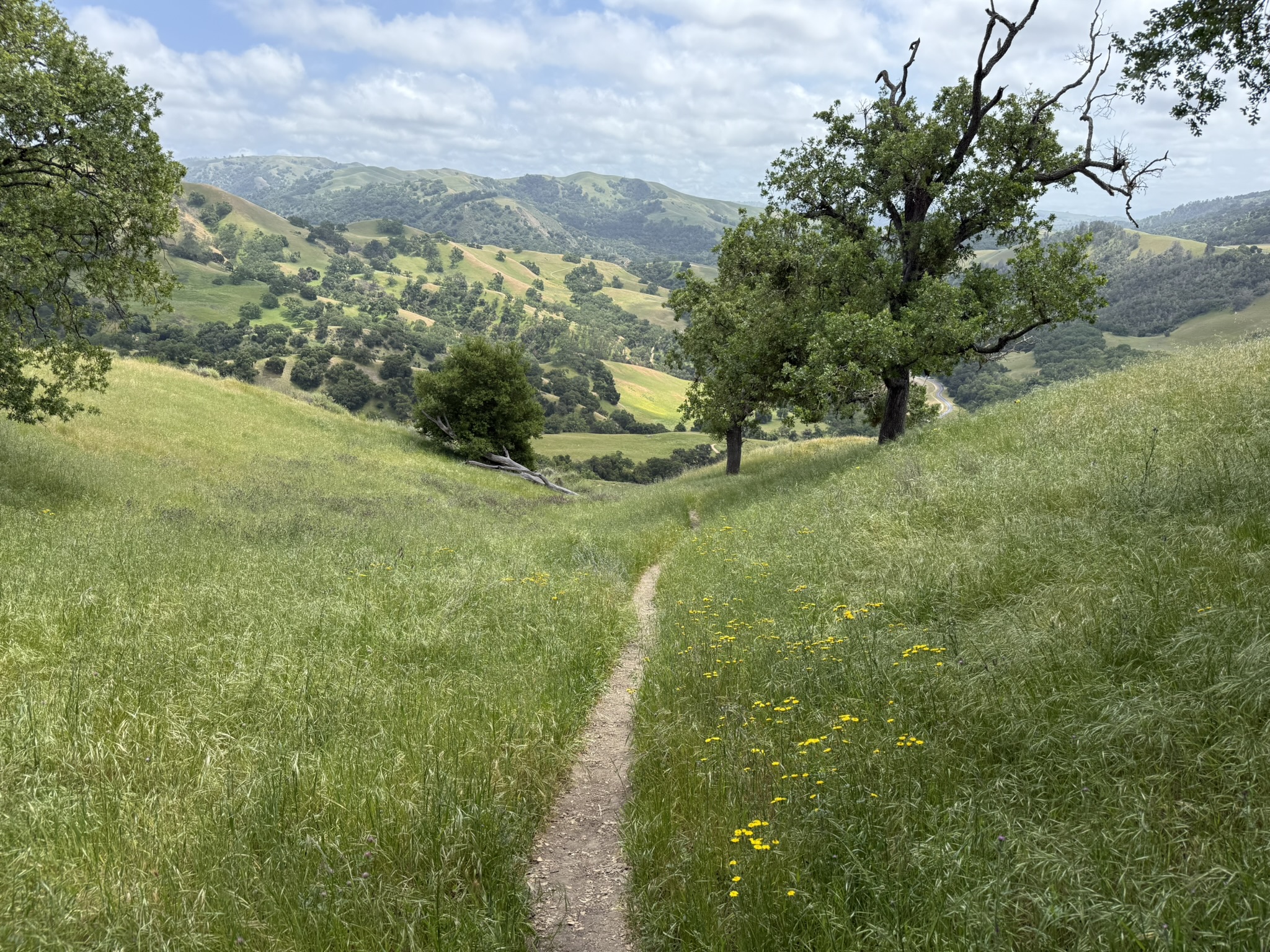 Sunol Wilderness Regional Preserve