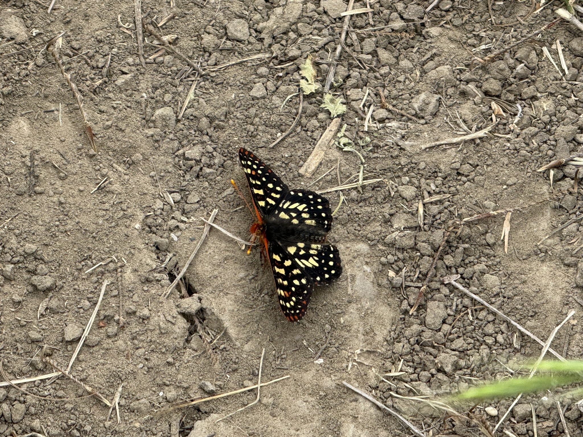Sunol Wilderness Regional Preserve
