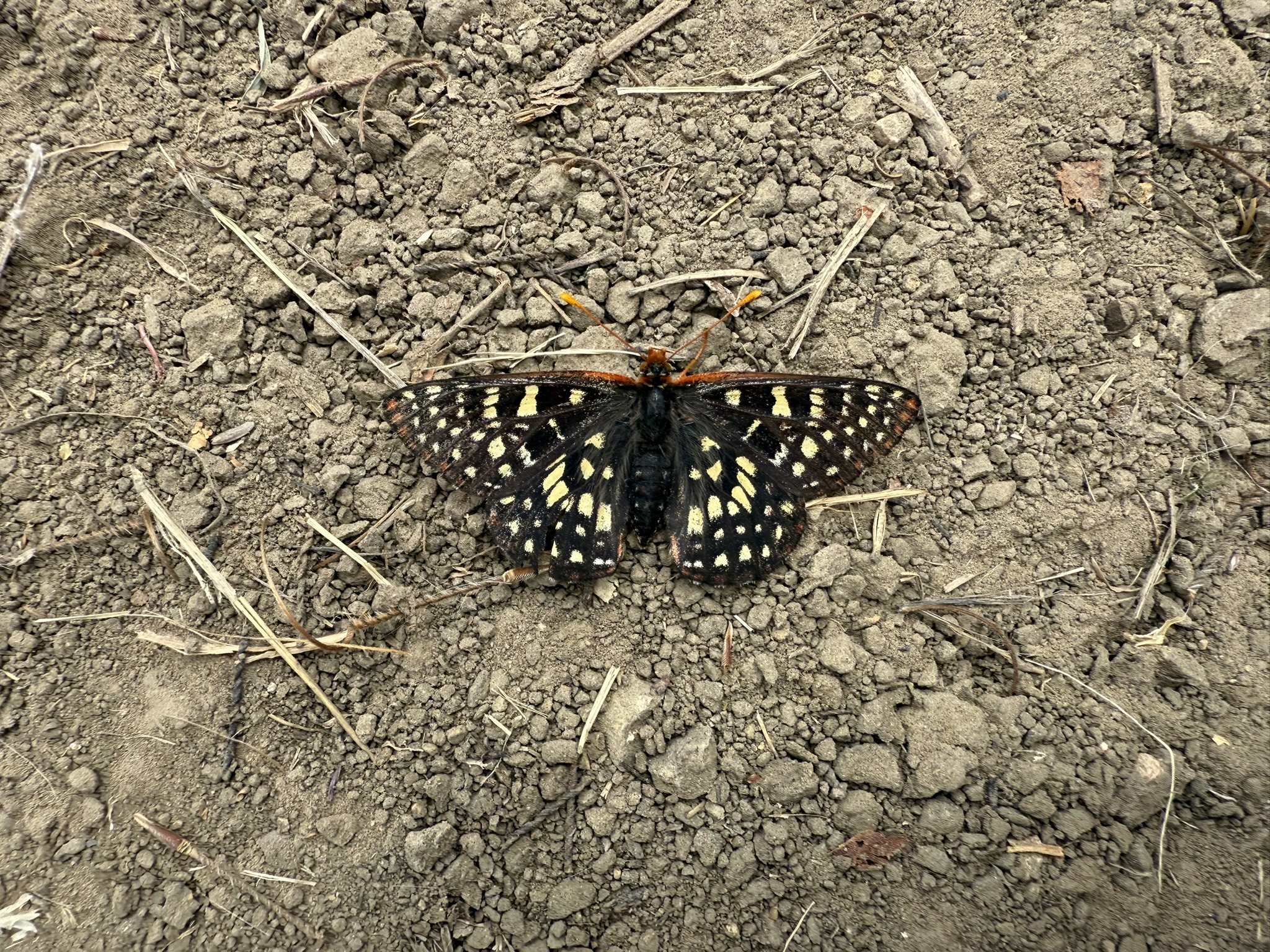 Sunol Wilderness Regional Preserve