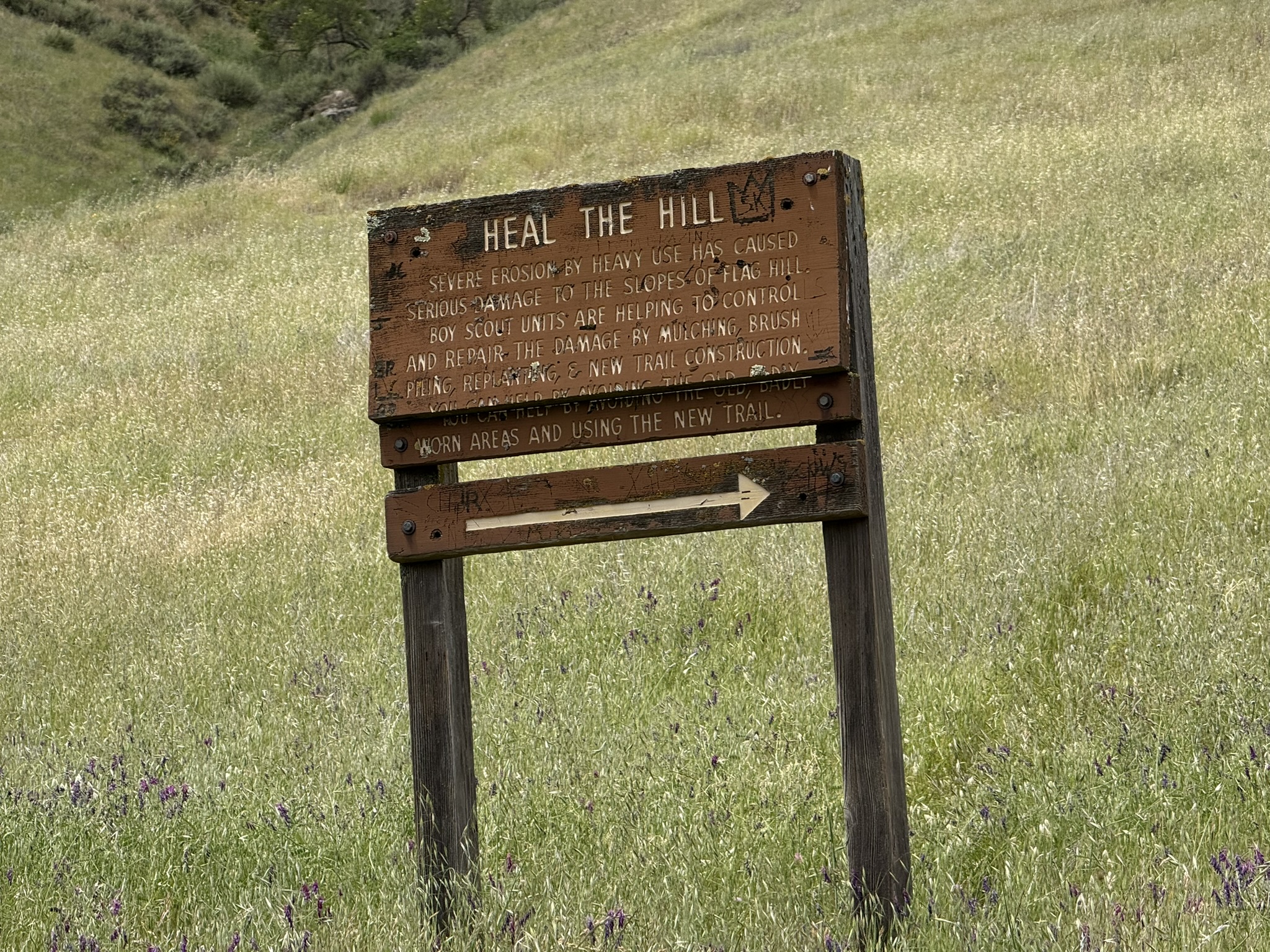Sunol Wilderness Regional Preserve