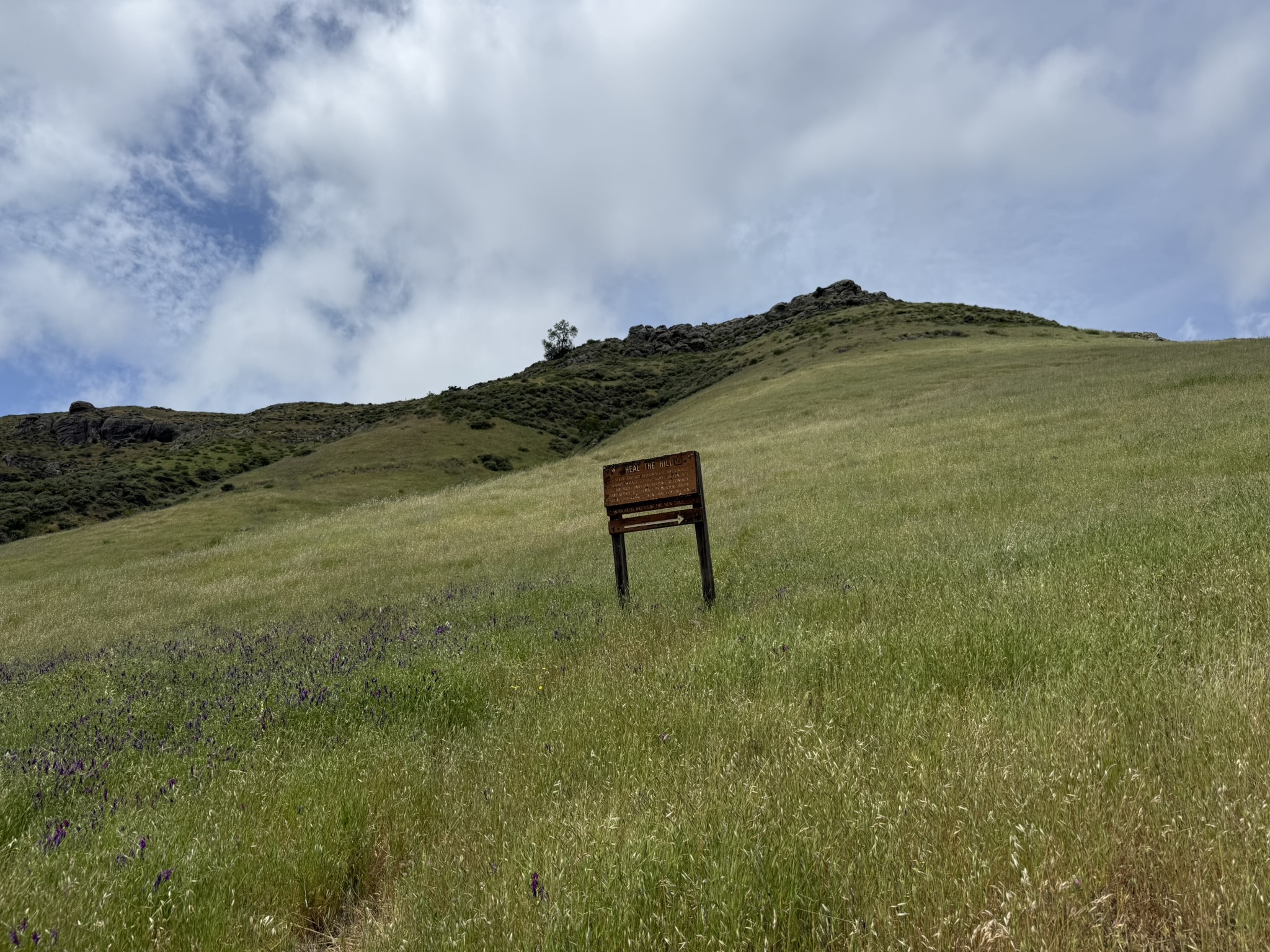 Sunol Wilderness Regional Preserve