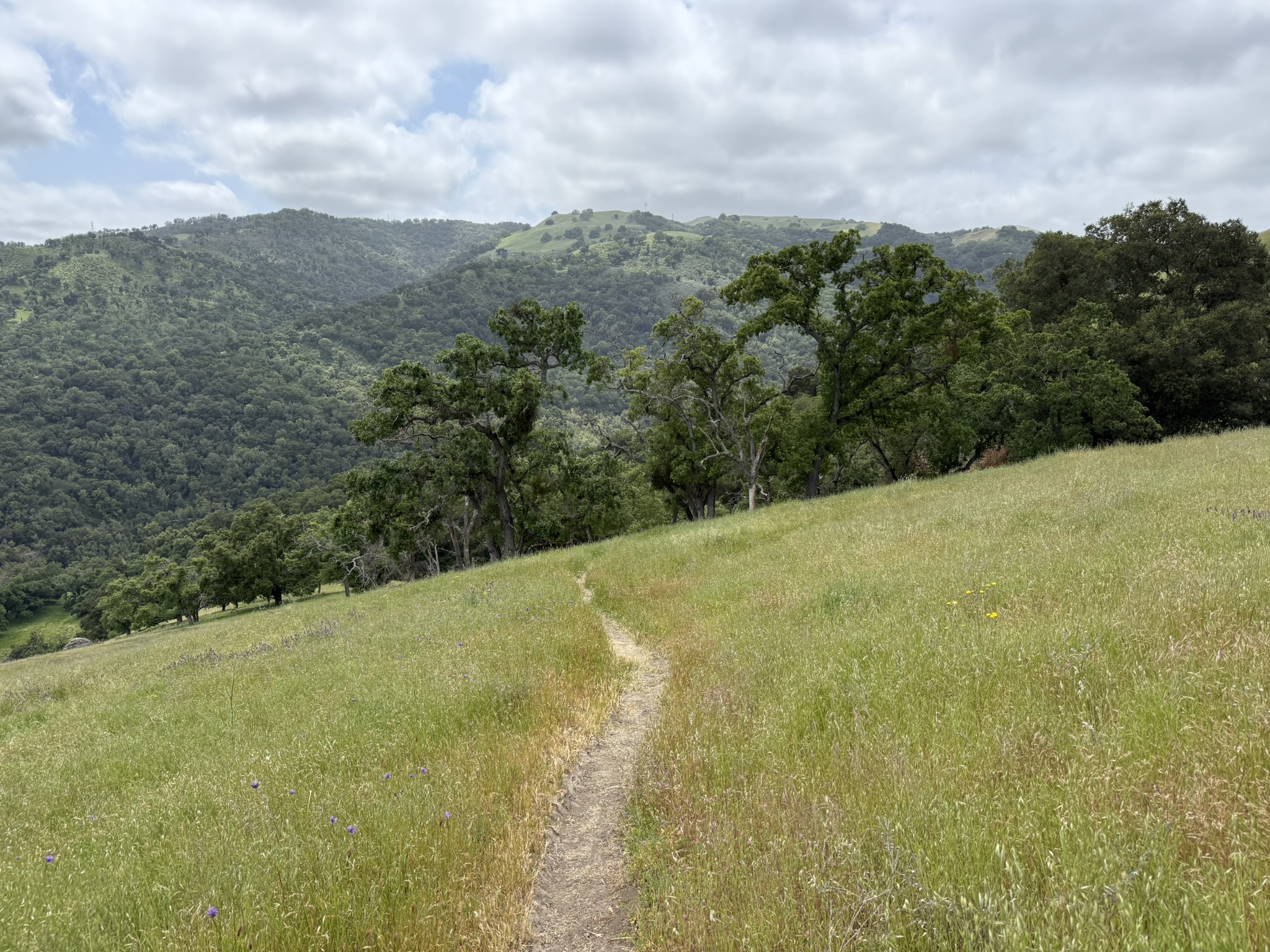 Sunol Wilderness Regional Preserve