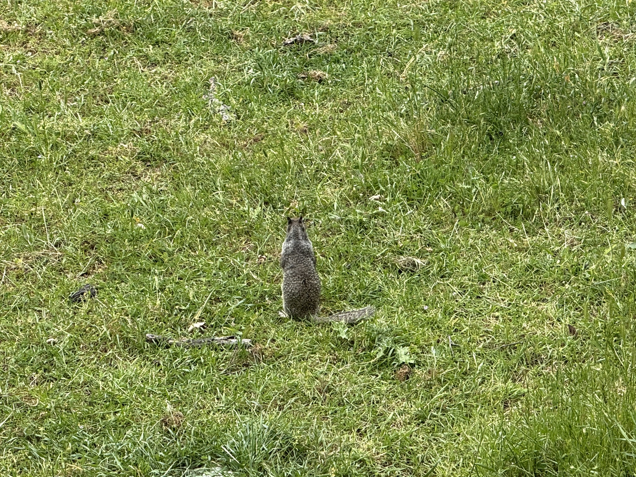 Sunol Wilderness Regional Preserve
