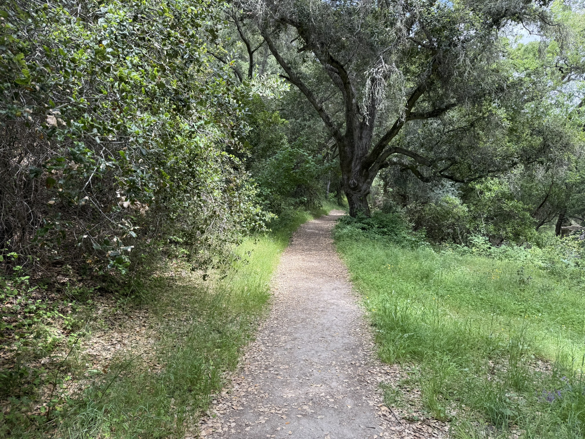 Sunol Wilderness Regional Preserve