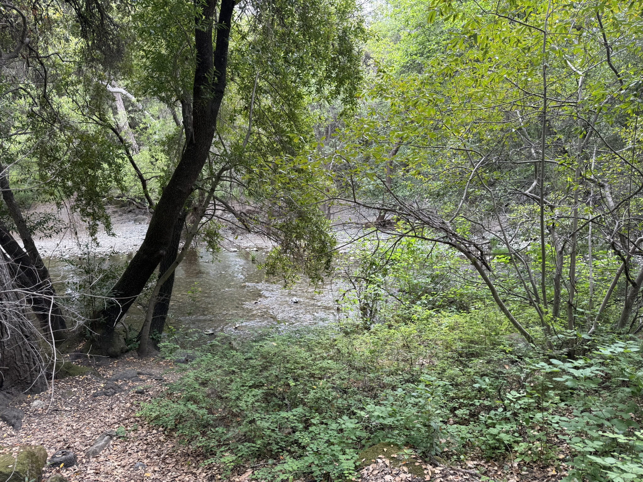 Sunol Wilderness Regional Preserve