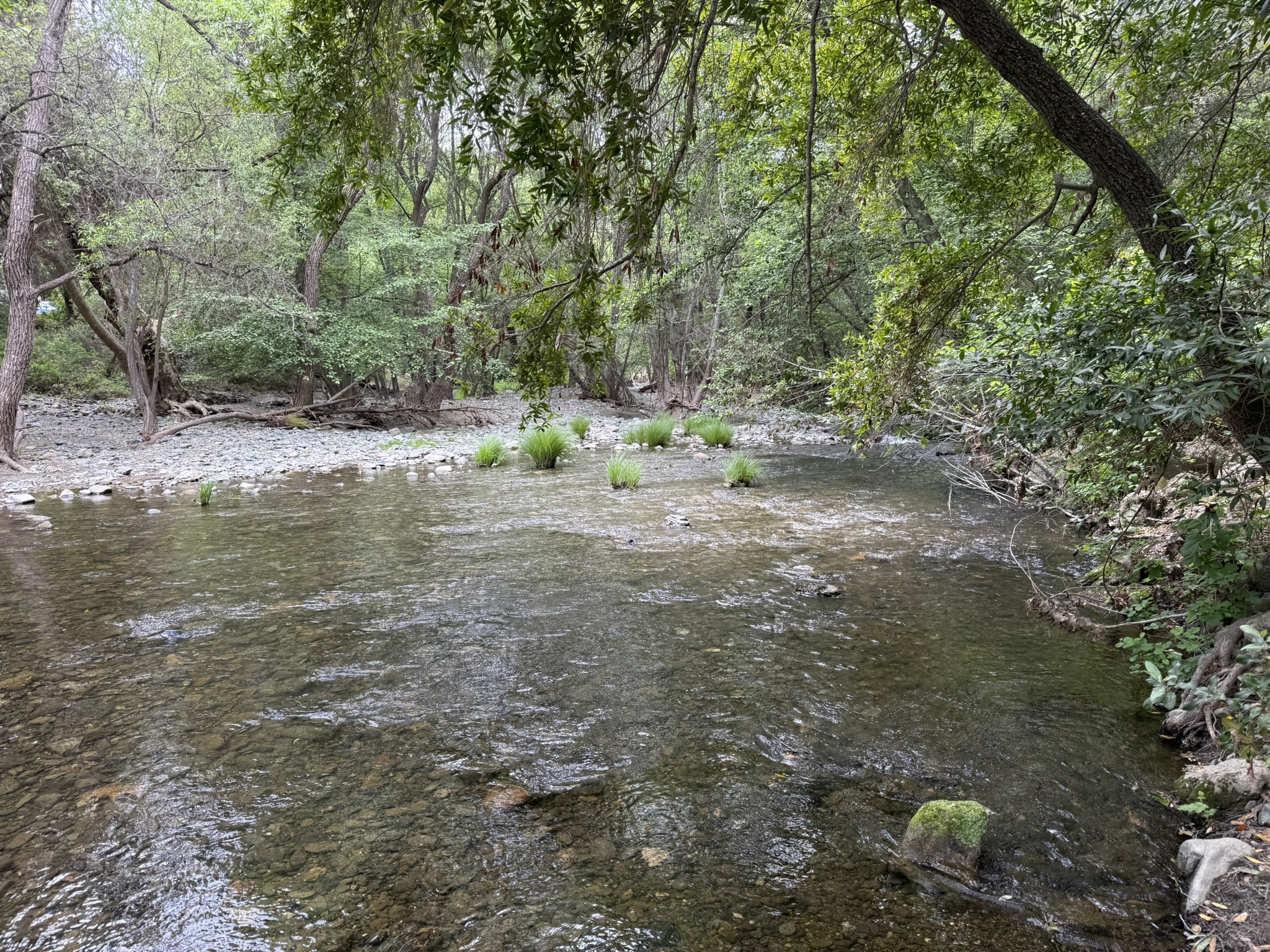 Sunol Wilderness Regional Preserve