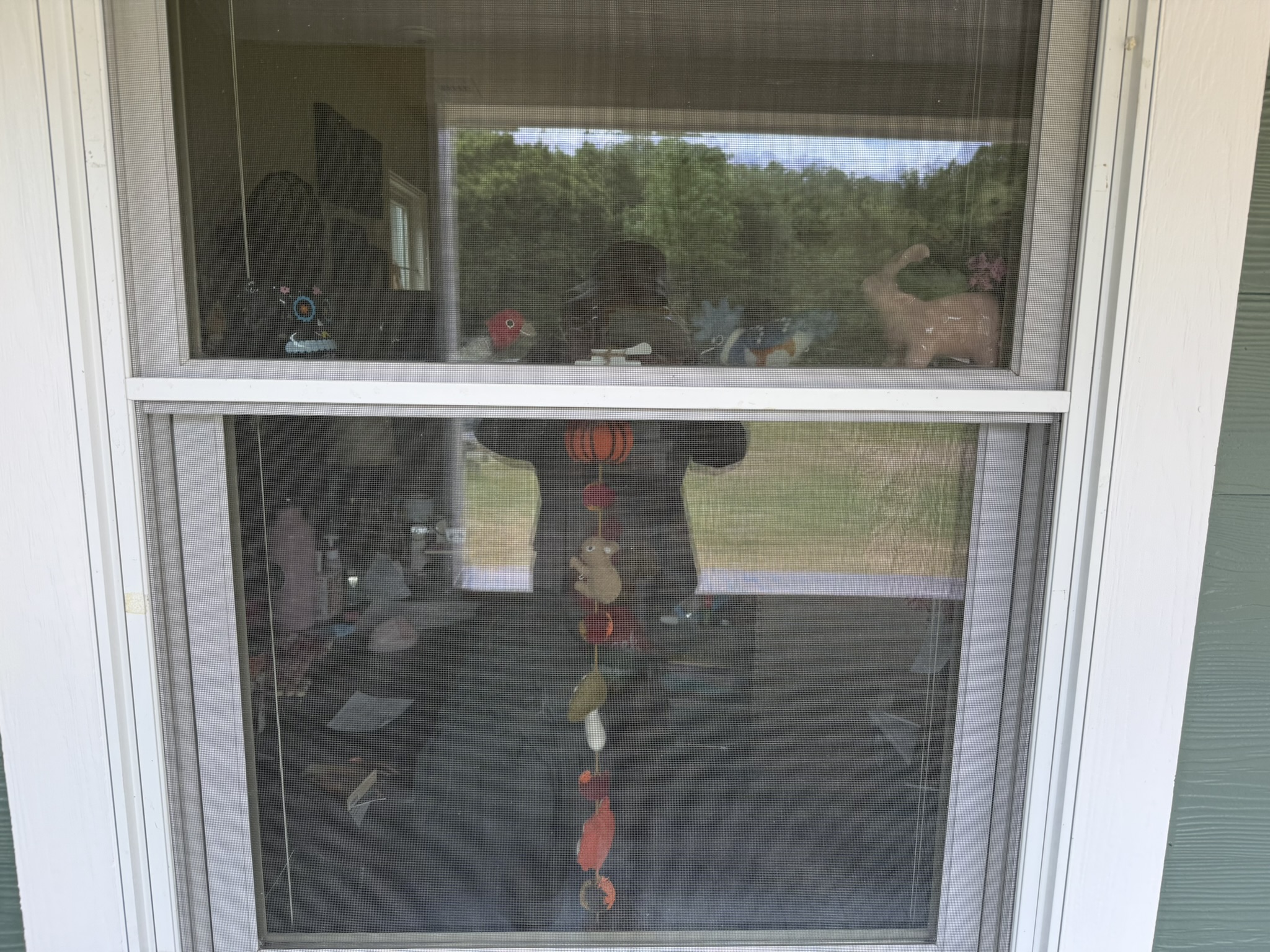 Sunol Wilderness Regional Preserve