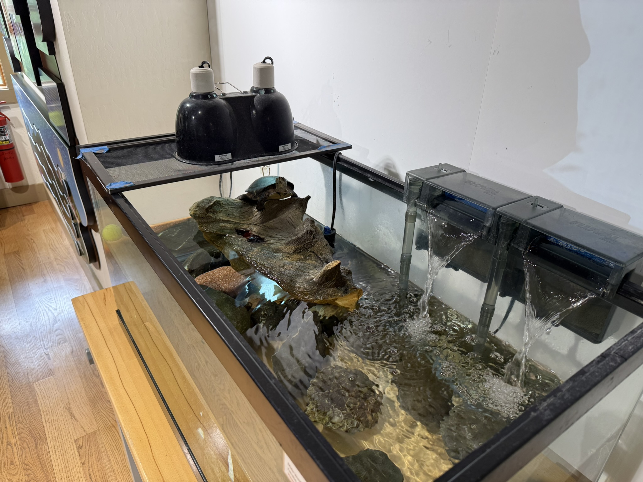 Sunol Wilderness Regional Preserve