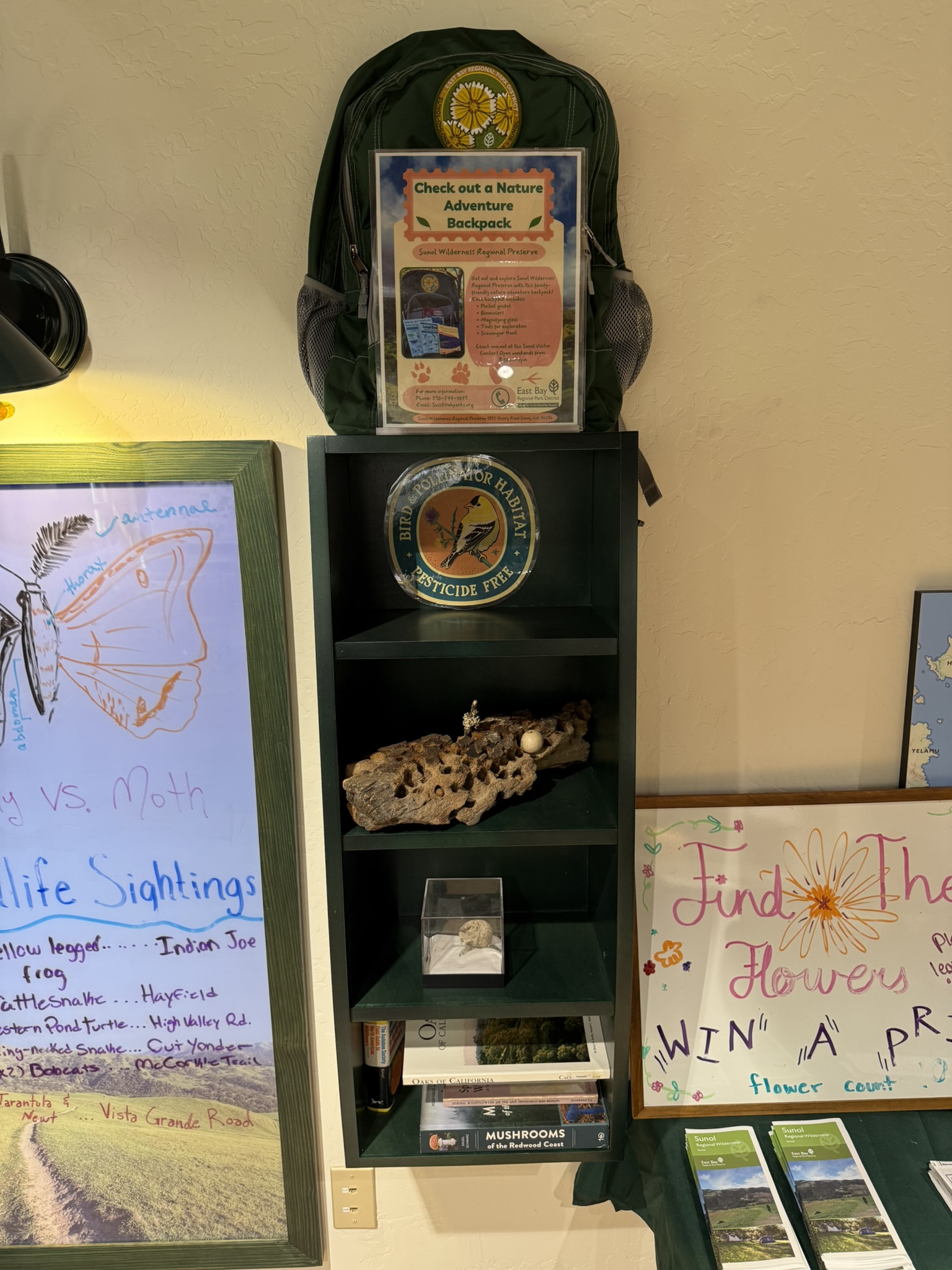 Sunol Wilderness Regional Preserve