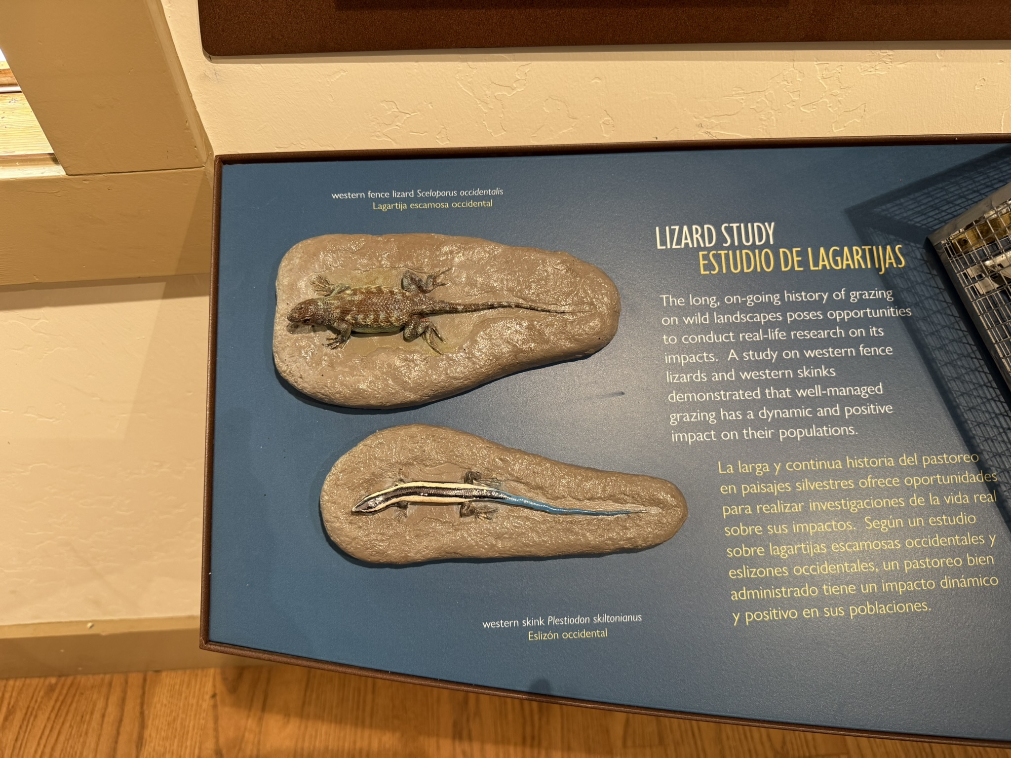 Sunol Wilderness Regional Preserve