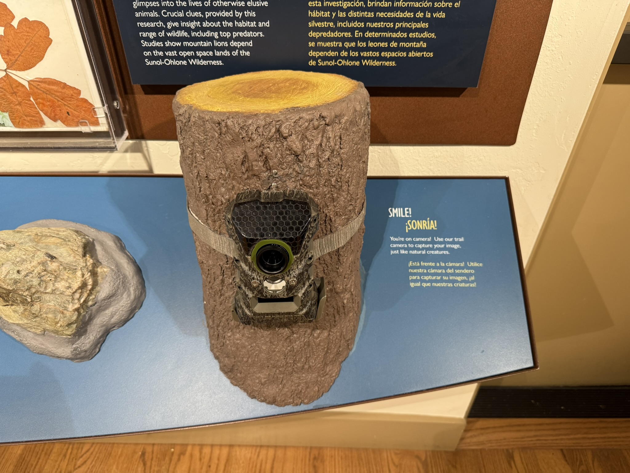 Sunol Wilderness Regional Preserve