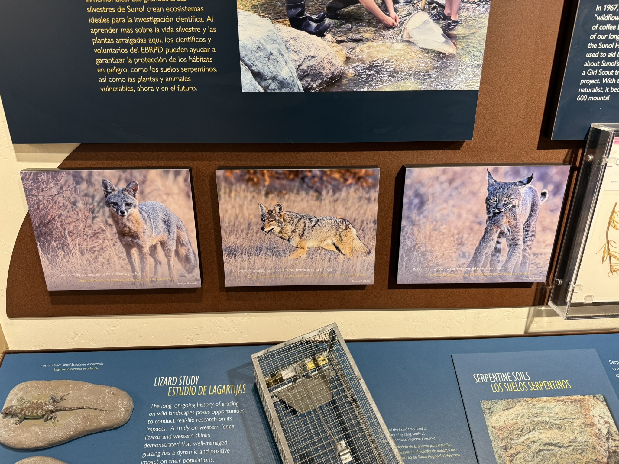 Sunol Wilderness Regional Preserve