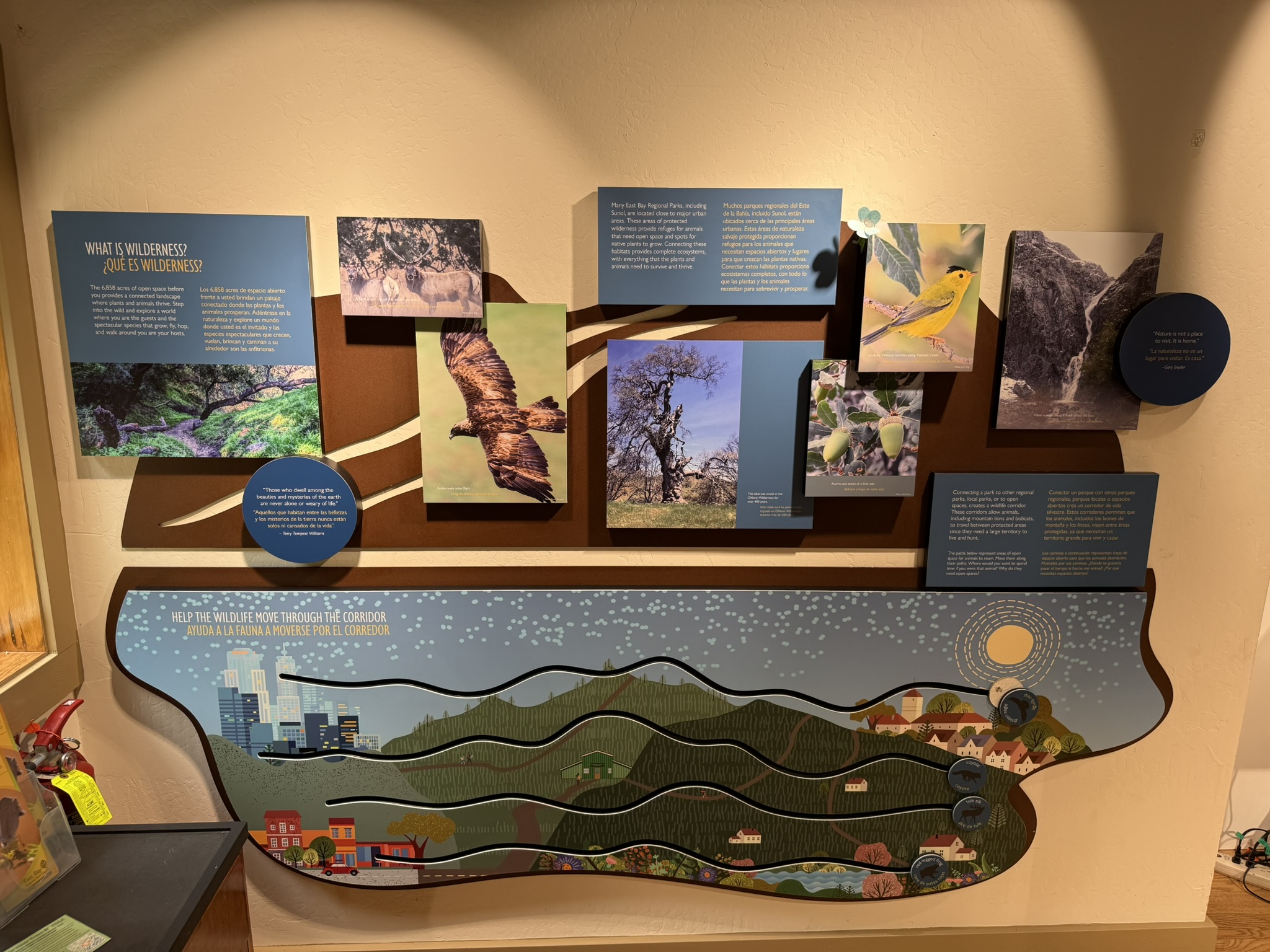 Sunol Wilderness Regional Preserve