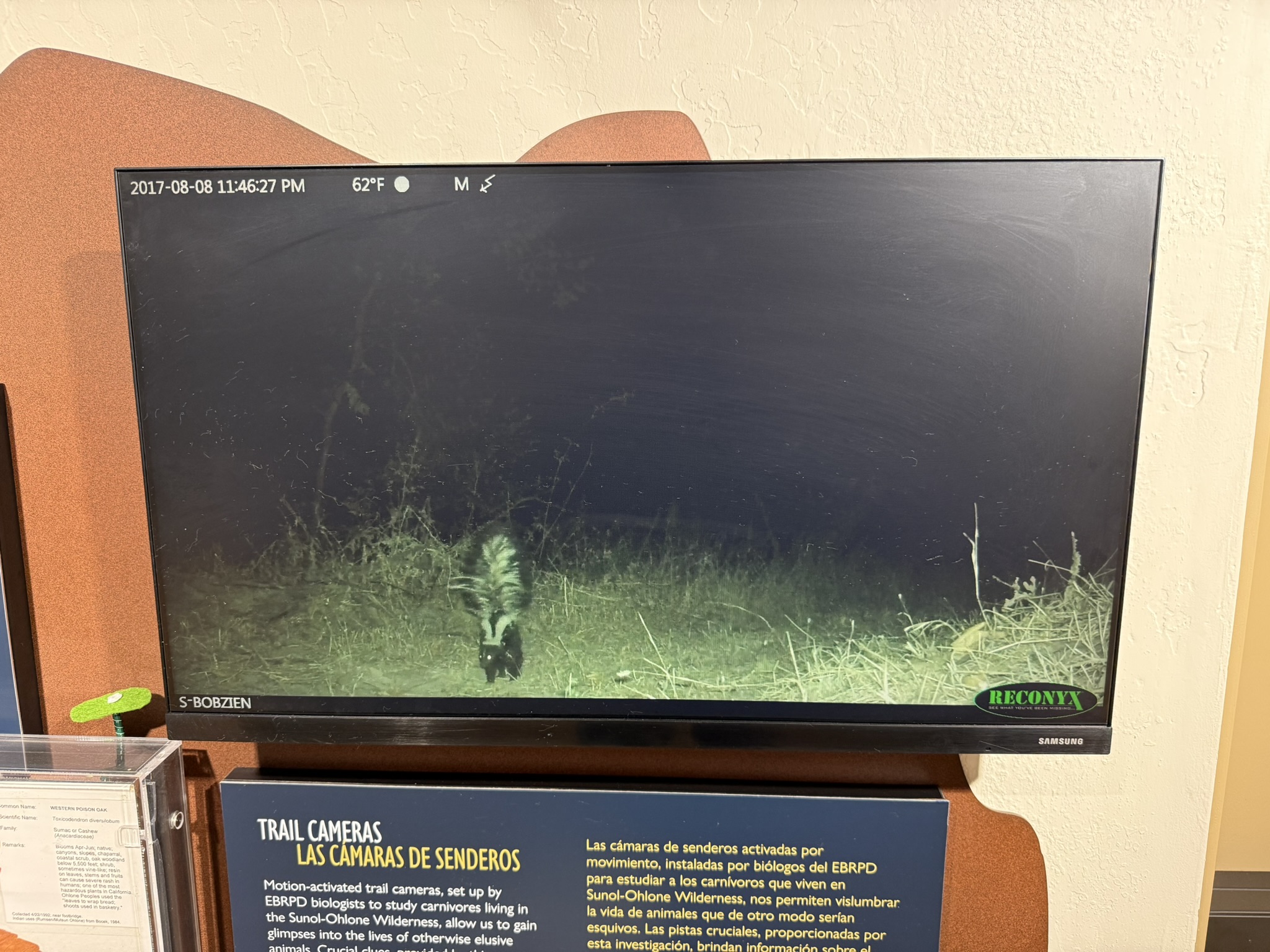 Sunol Wilderness Regional Preserve