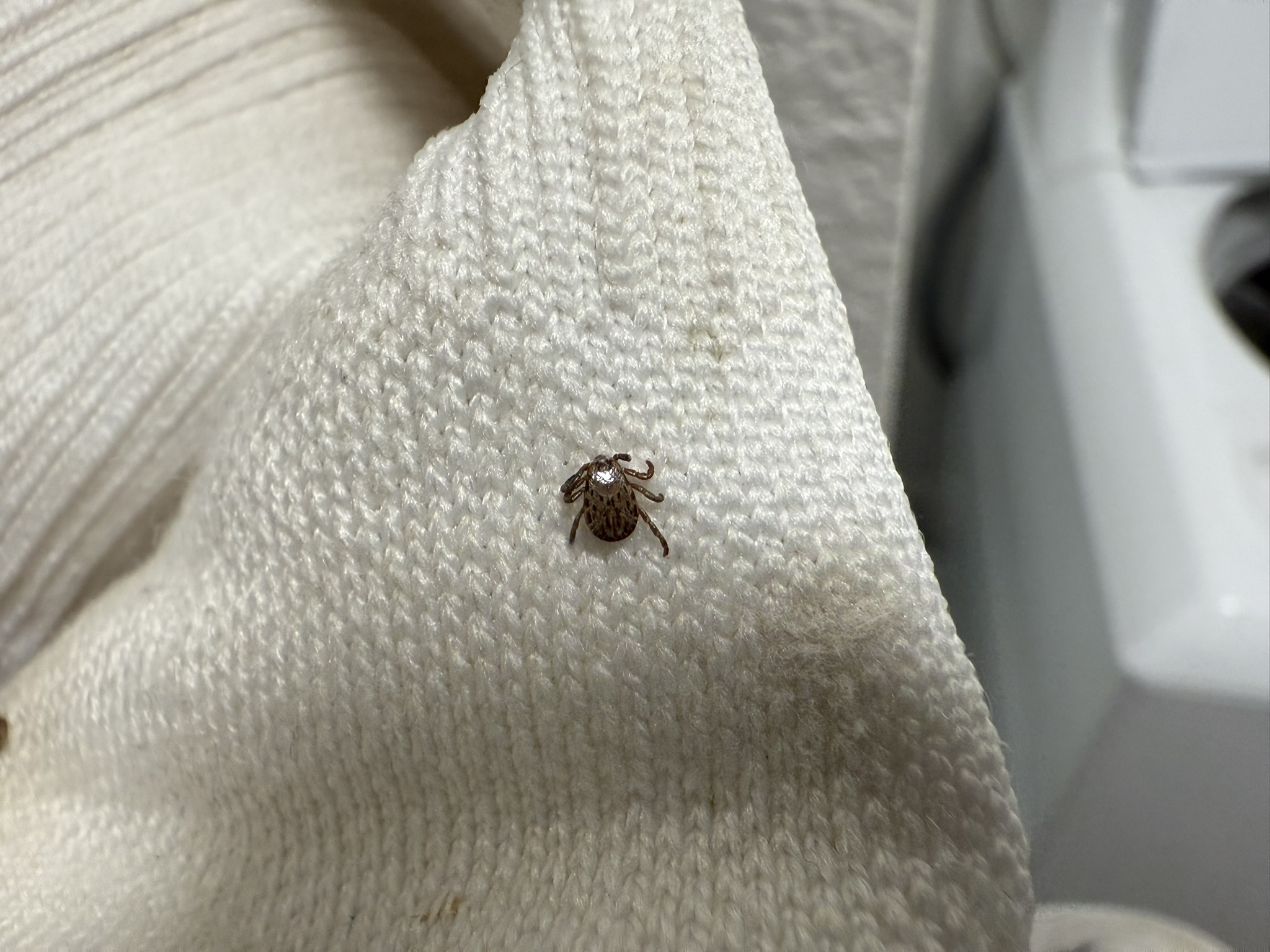 Sunol Wilderness Regional Preserve