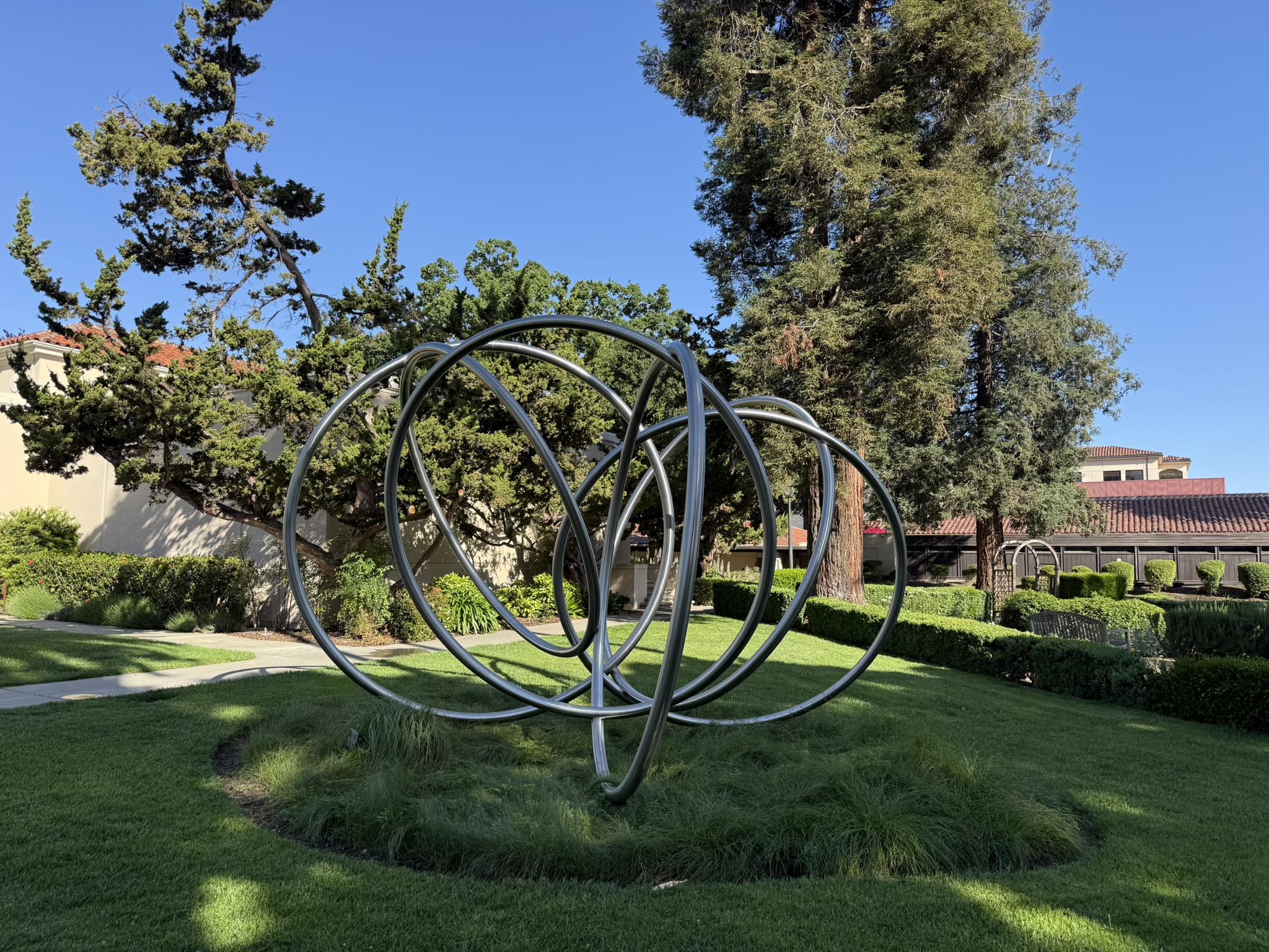 校园里多了一些去年没见过的物件