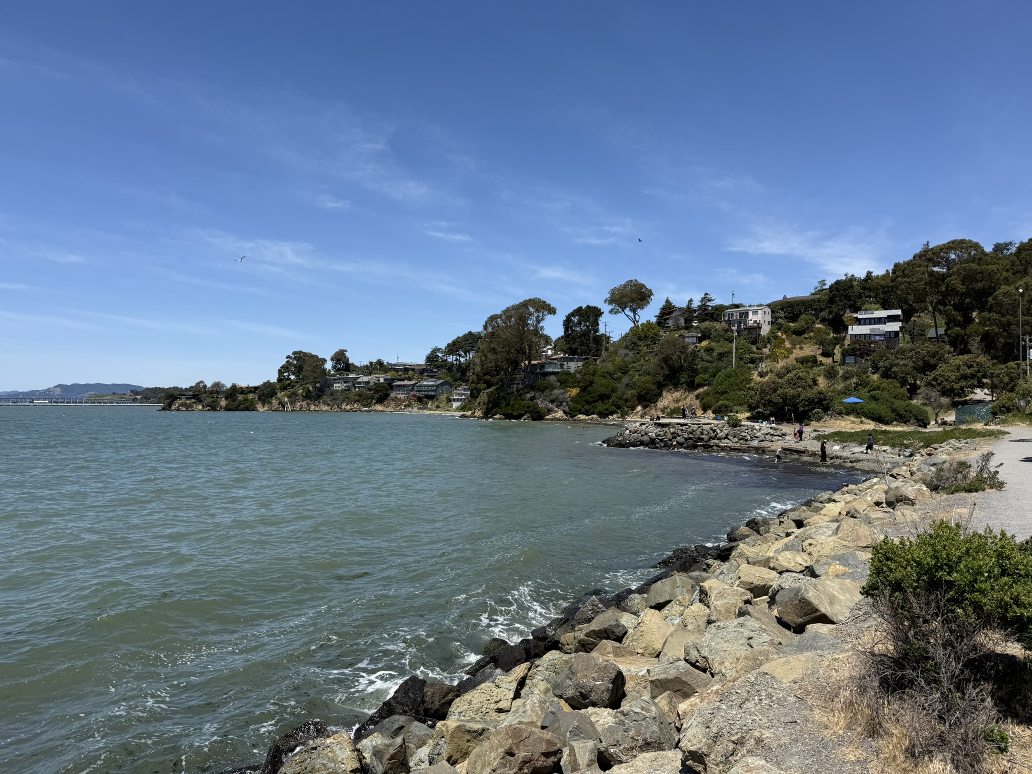 Miller/Knox Regional Shoreline