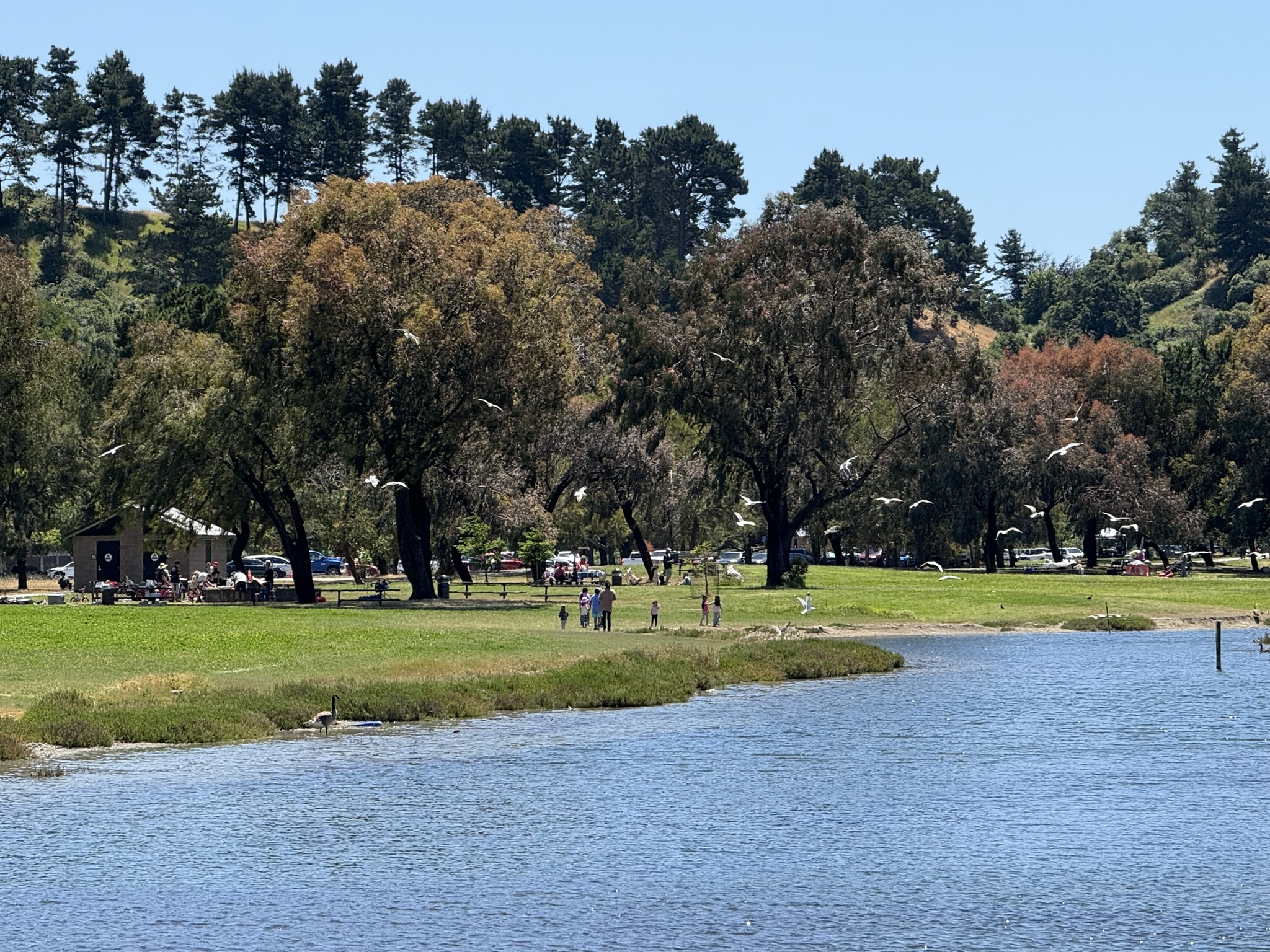Miller/Knox Regional Shoreline
