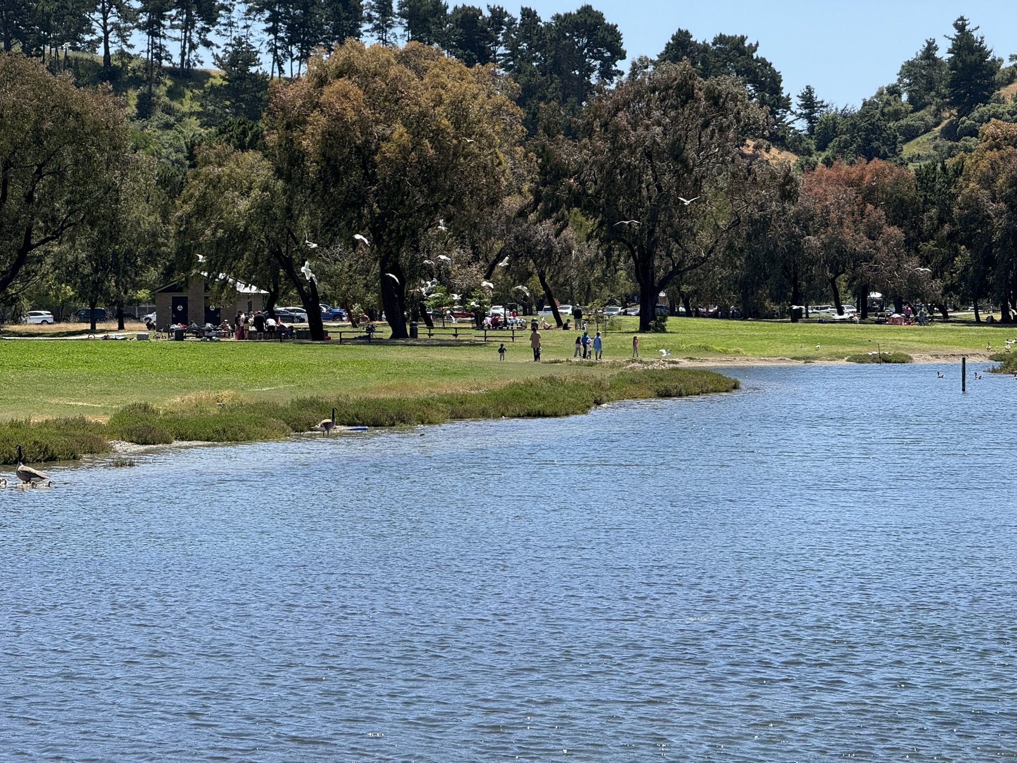 Miller/Knox Regional Shoreline