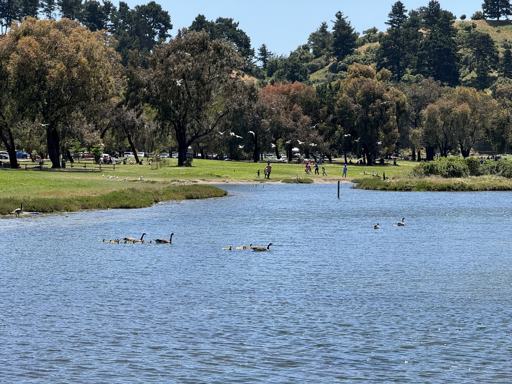 Miller/Knox Regional Shoreline