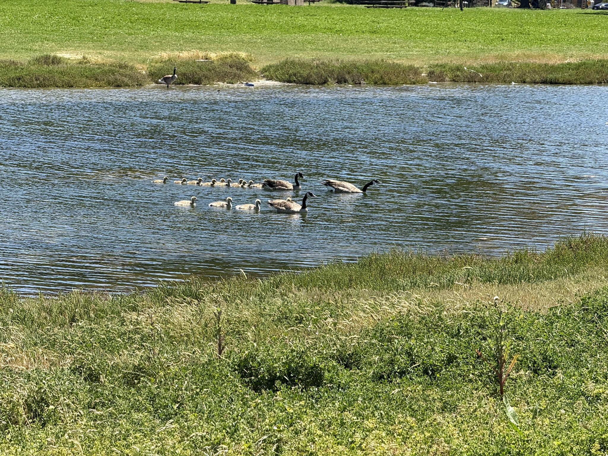 Miller/Knox Regional Shoreline