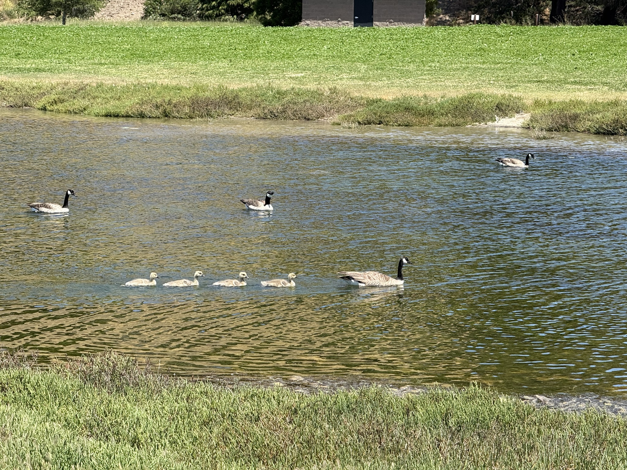 Miller/Knox Regional Shoreline