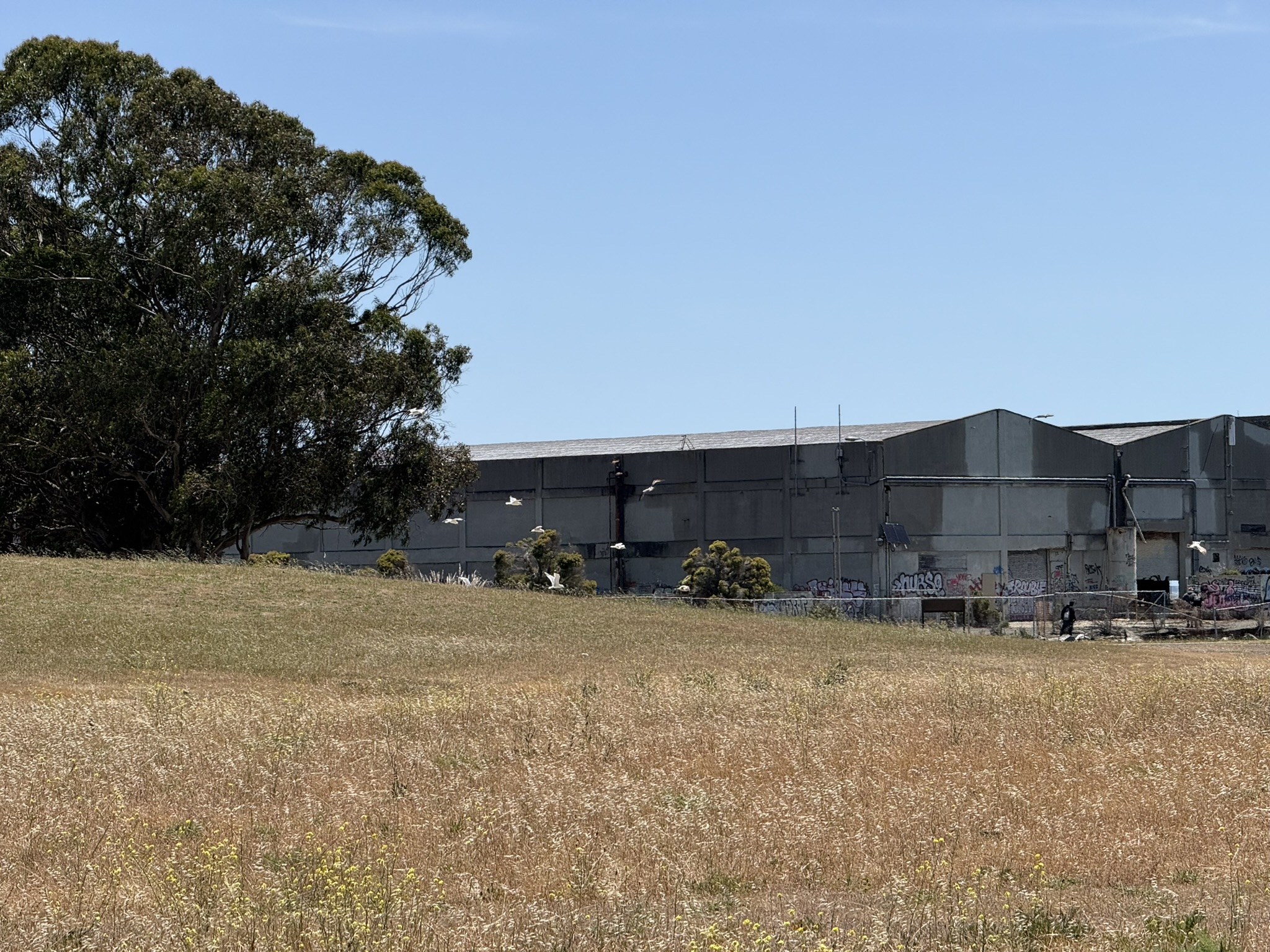 Miller/Knox Regional Shoreline