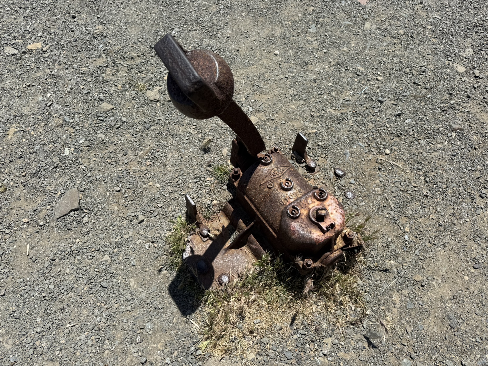 Miller/Knox Regional Shoreline