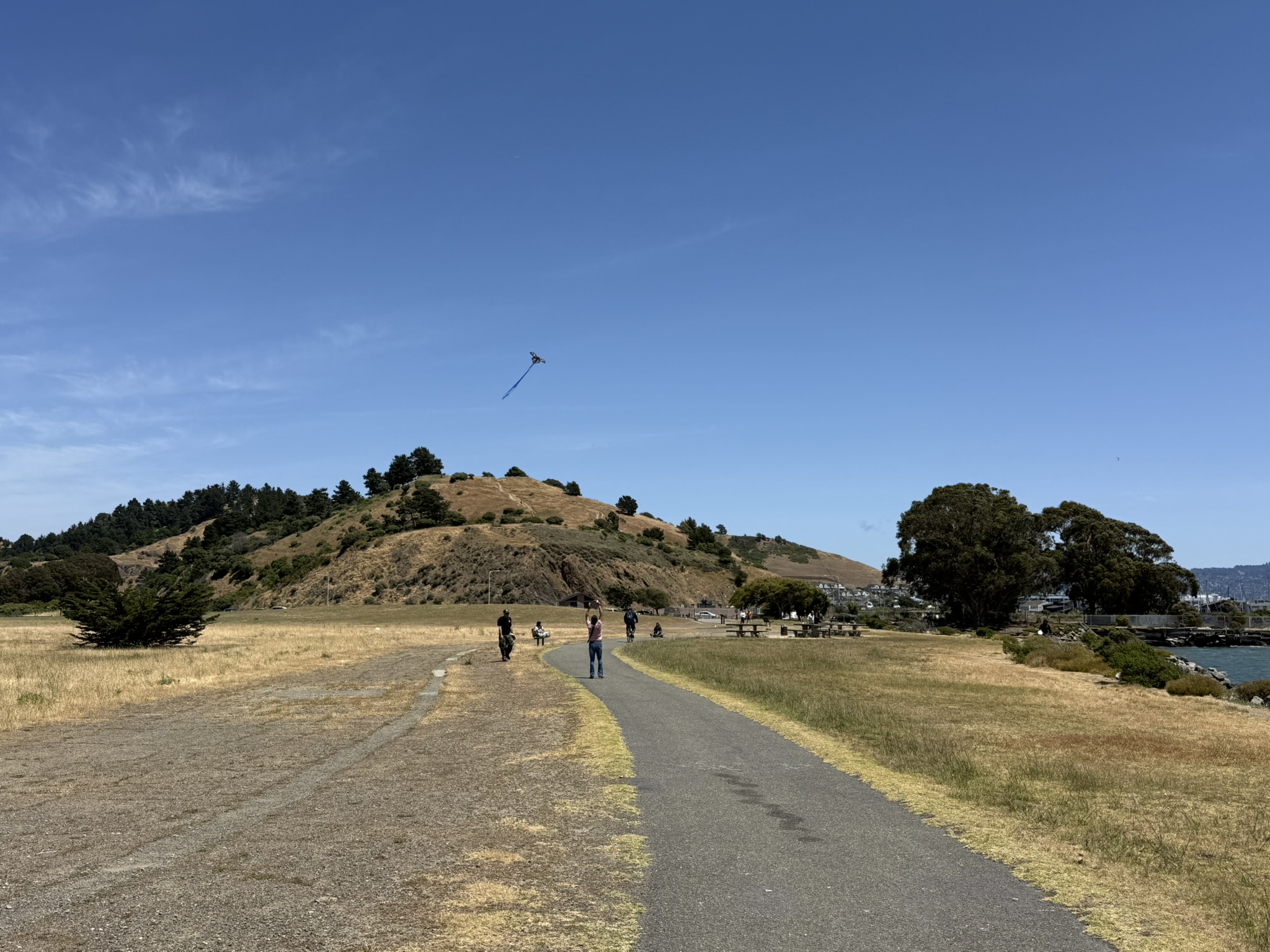 Miller/Knox Regional Shoreline