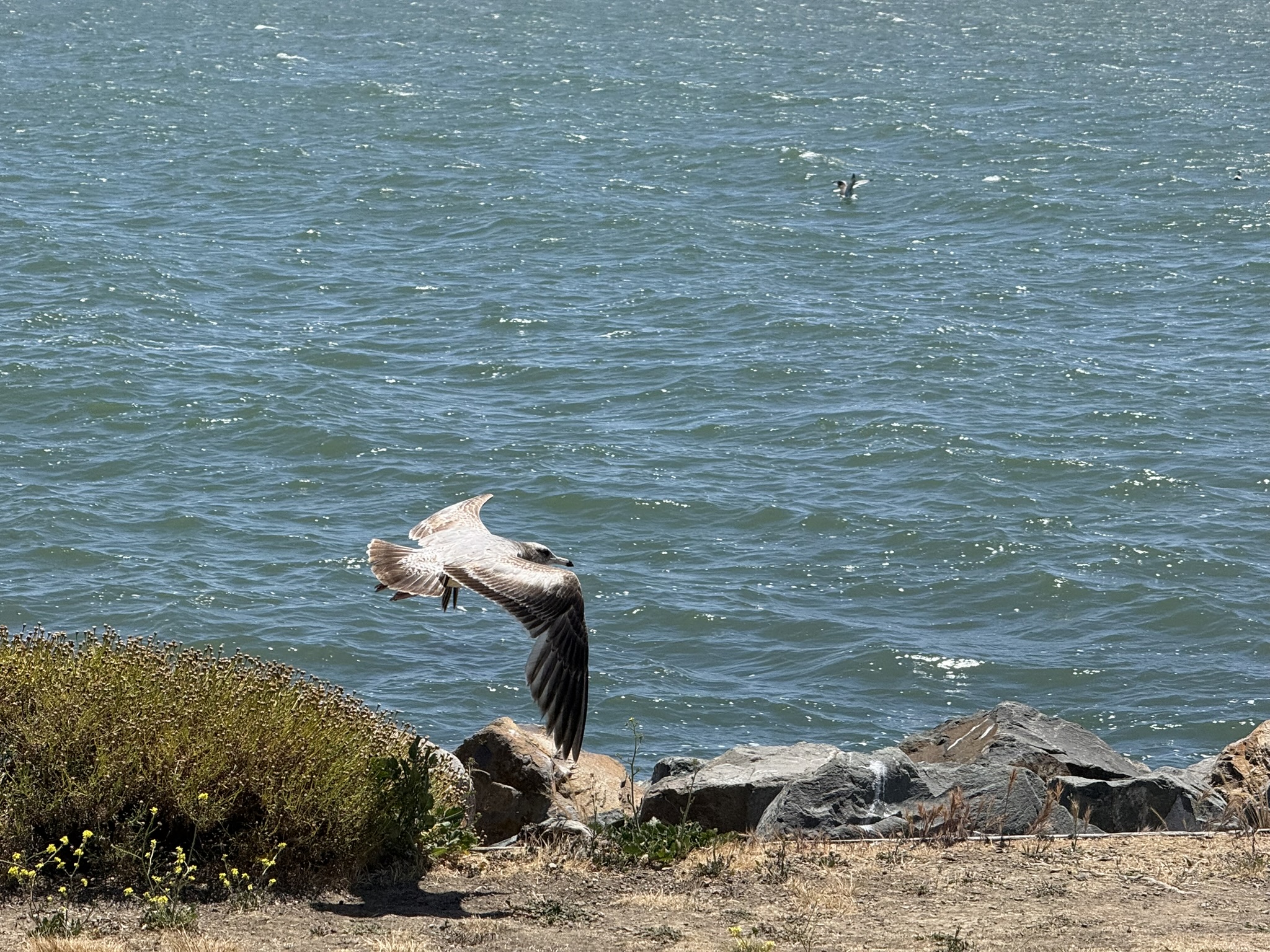 Miller/Knox Regional Shoreline