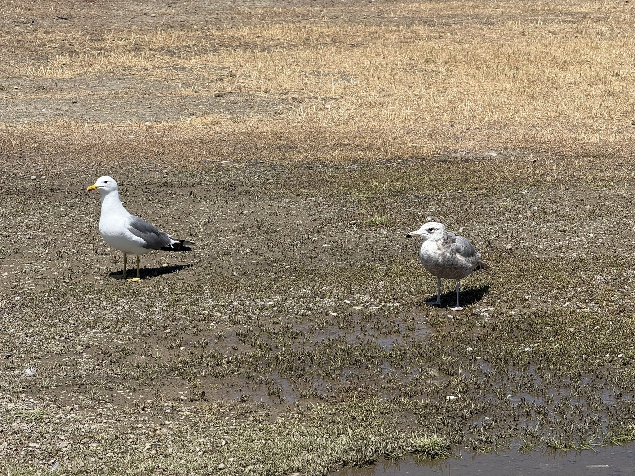 Miller/Knox Regional Shoreline
