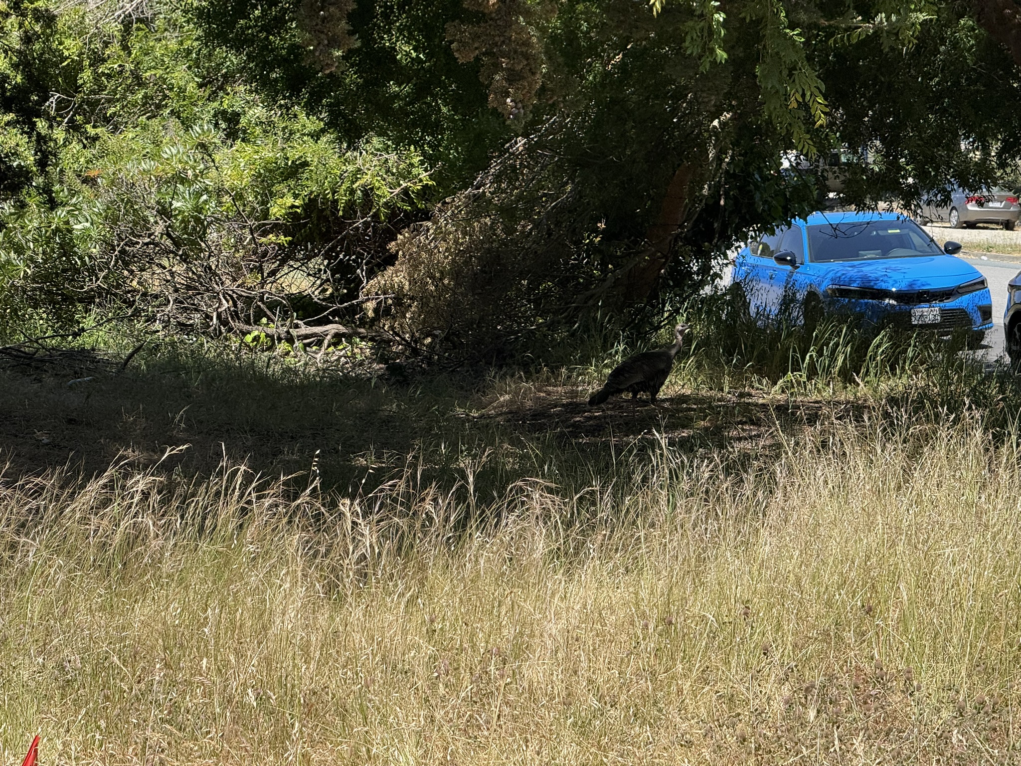 Miller/Knox Regional Shoreline