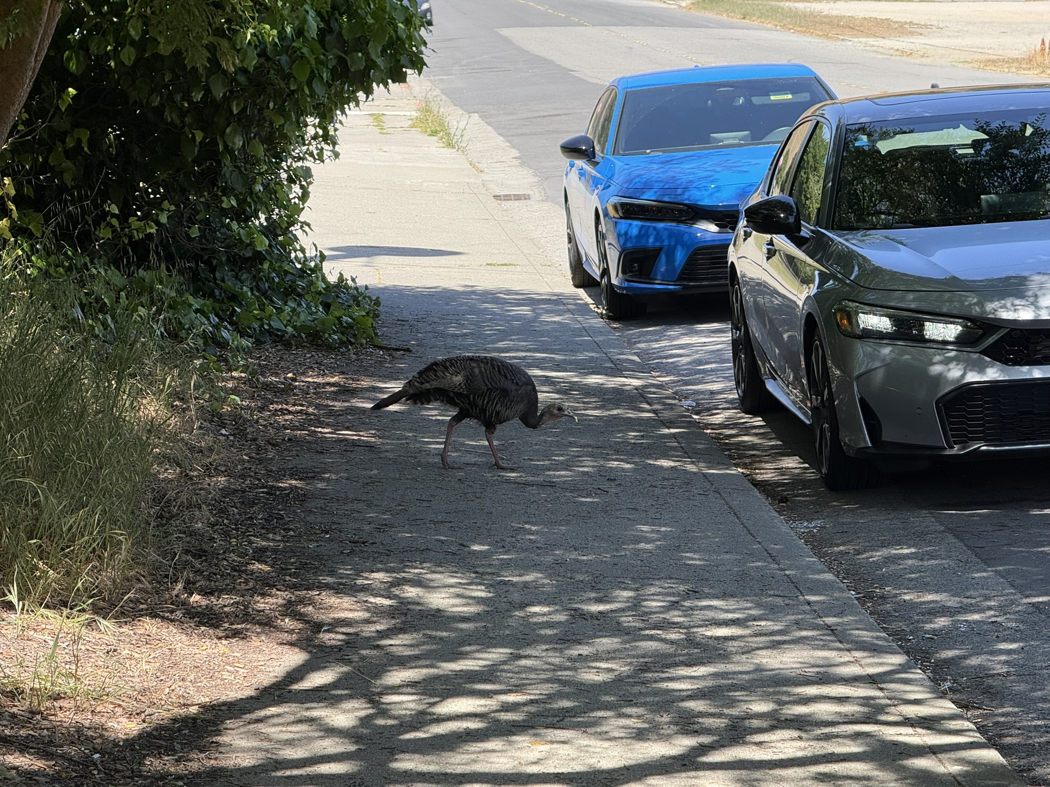 Miller/Knox Regional Shoreline
