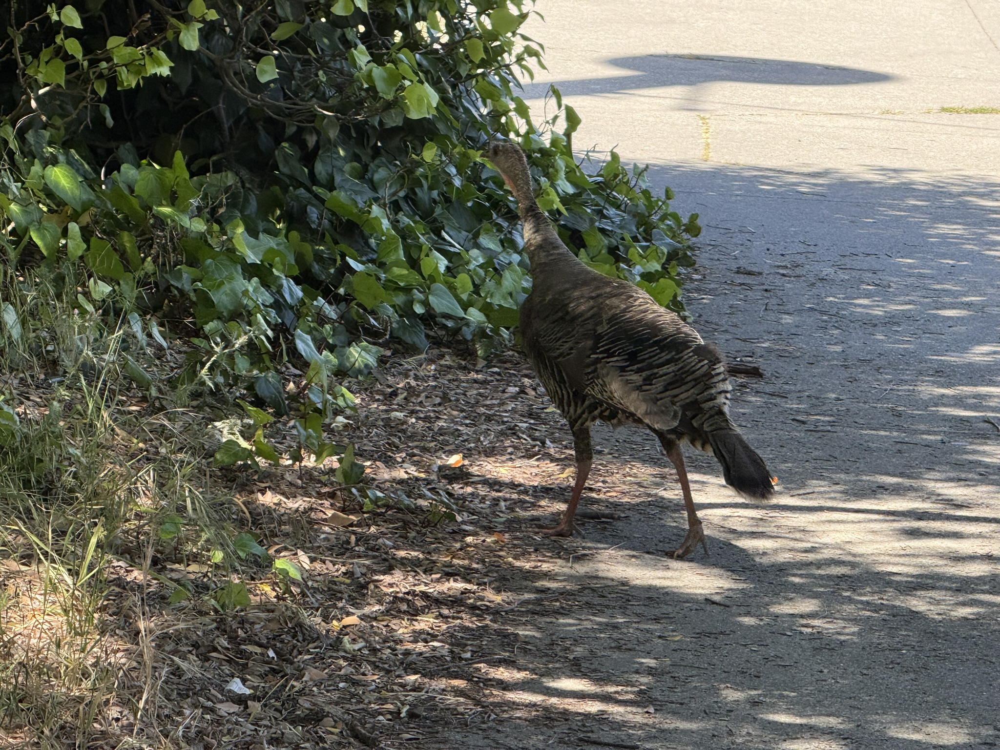 Miller/Knox Regional Shoreline