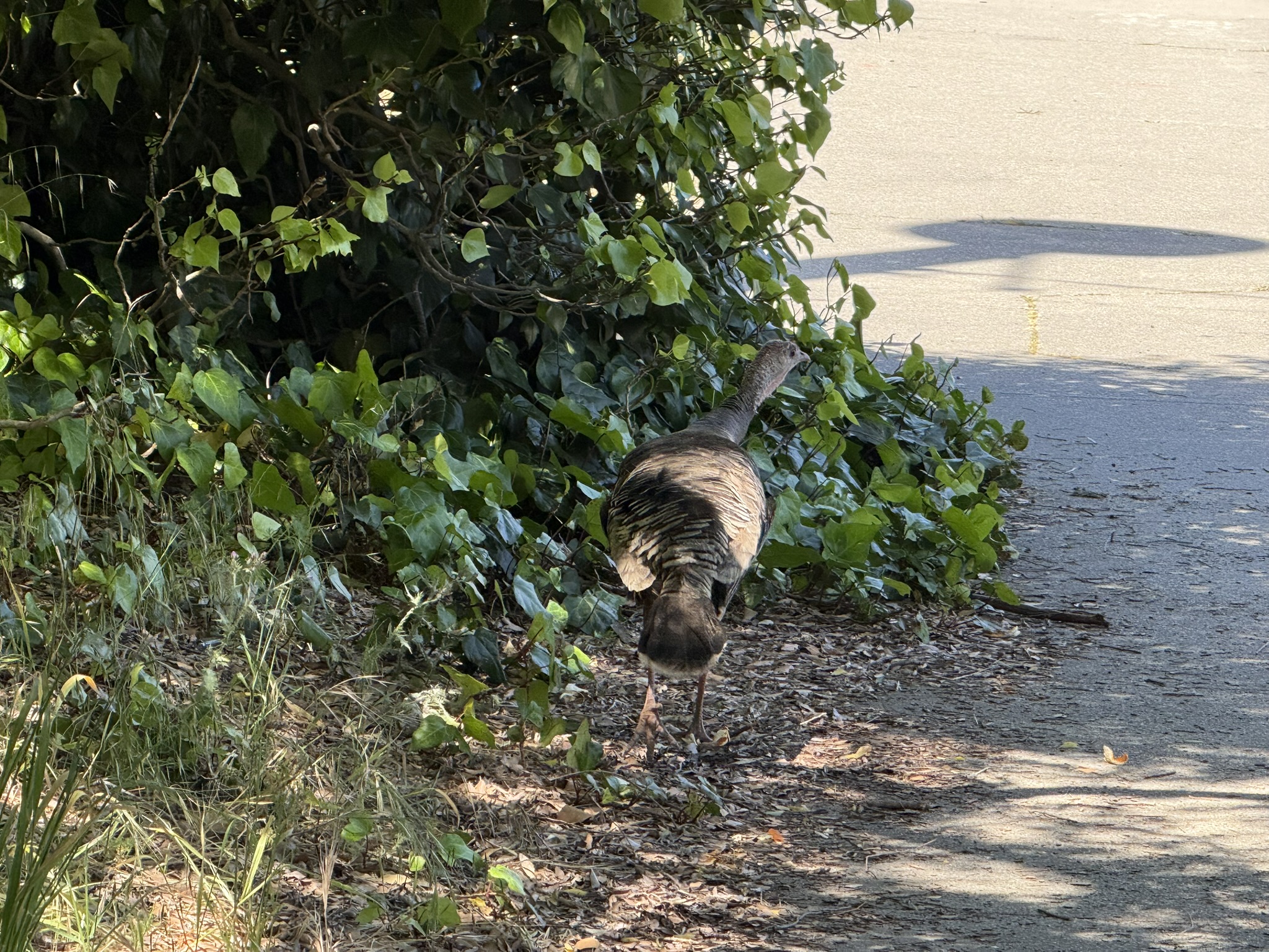Miller/Knox Regional Shoreline