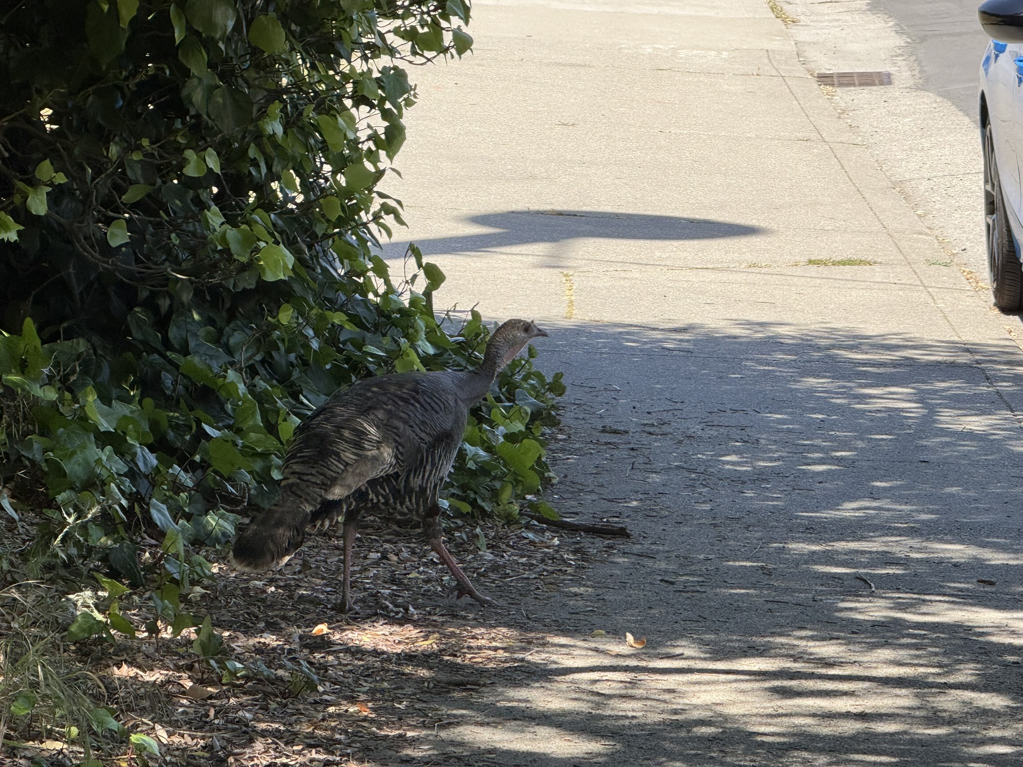 Miller/Knox Regional Shoreline