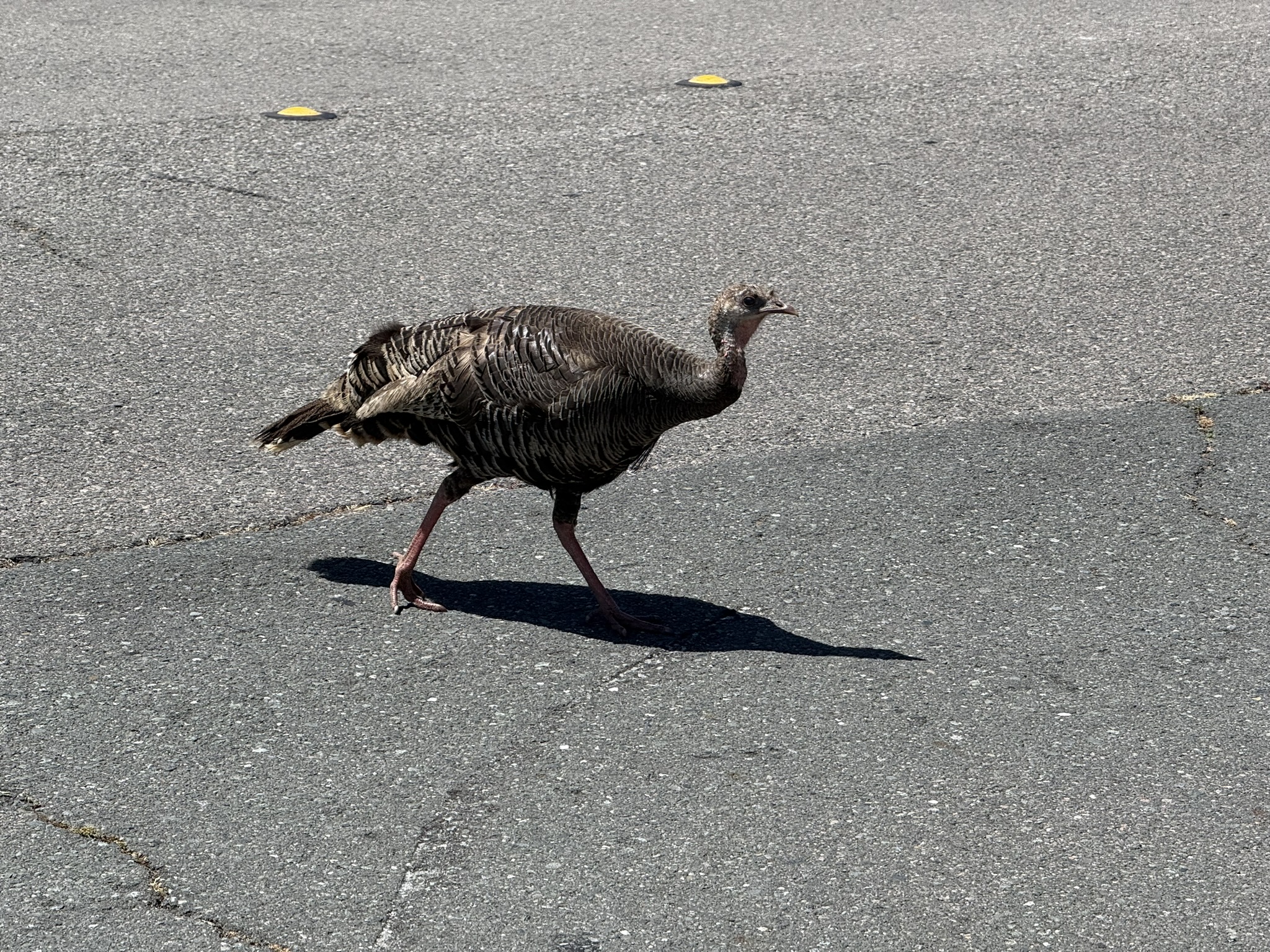 Miller/Knox Regional Shoreline