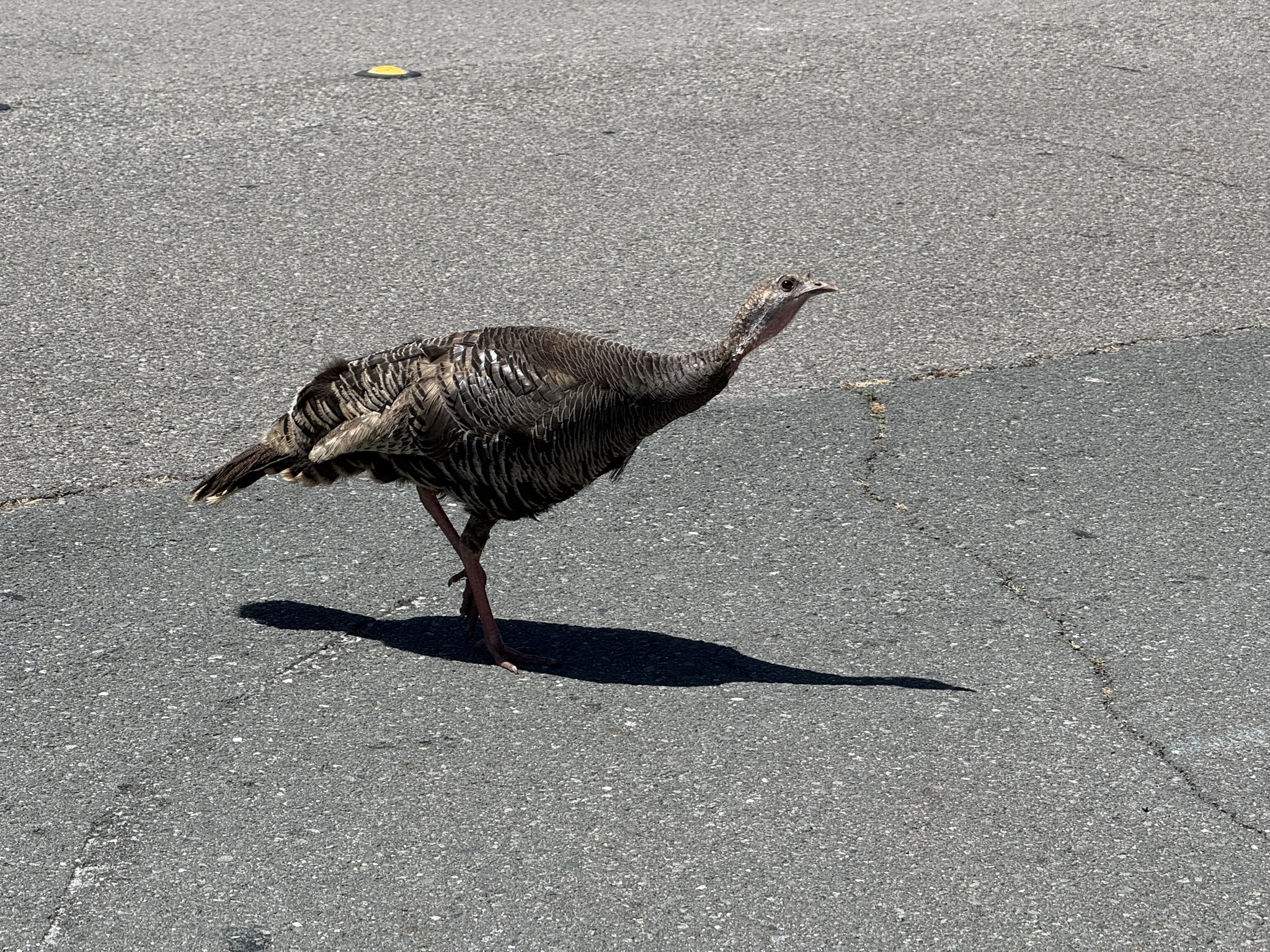 Miller/Knox Regional Shoreline