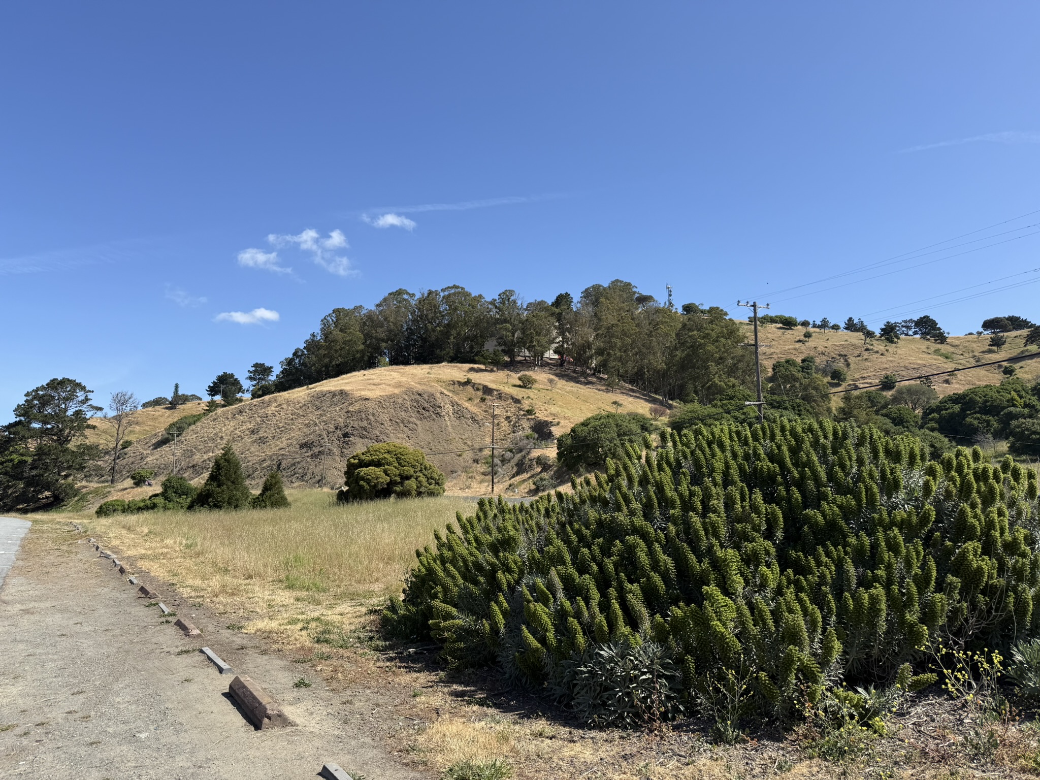 Miller/Knox Regional Shoreline