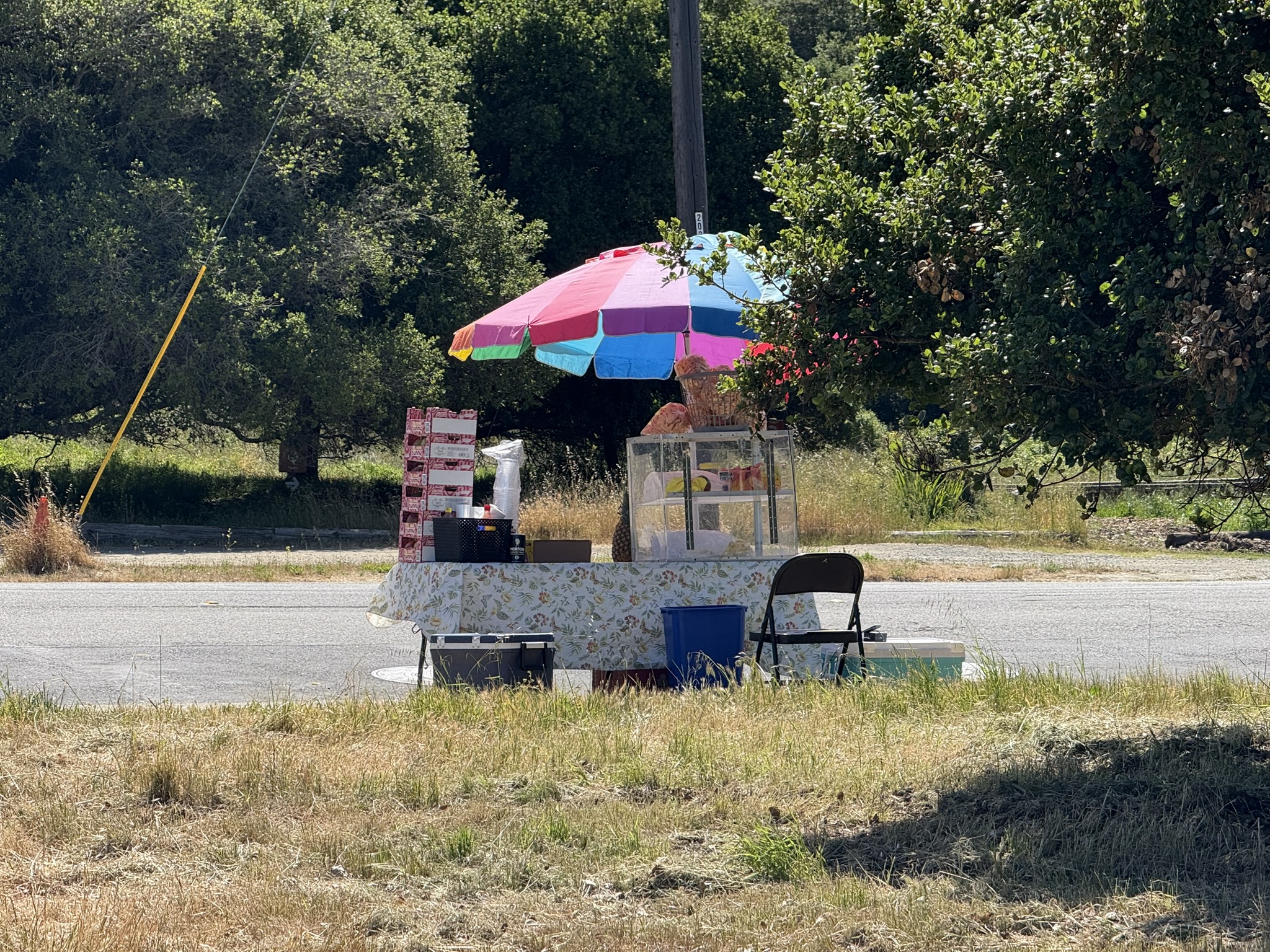 Miller/Knox Regional Shoreline