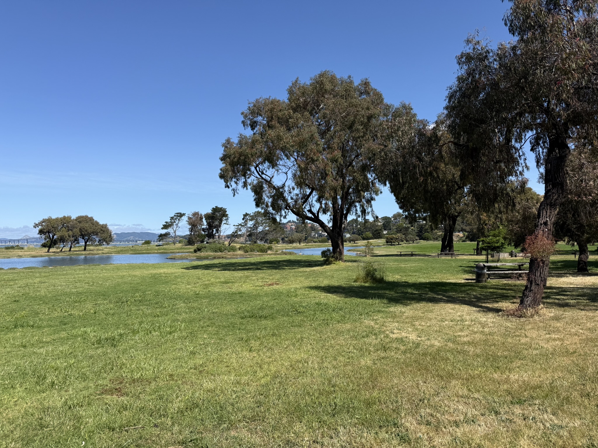Miller/Knox Regional Shoreline
