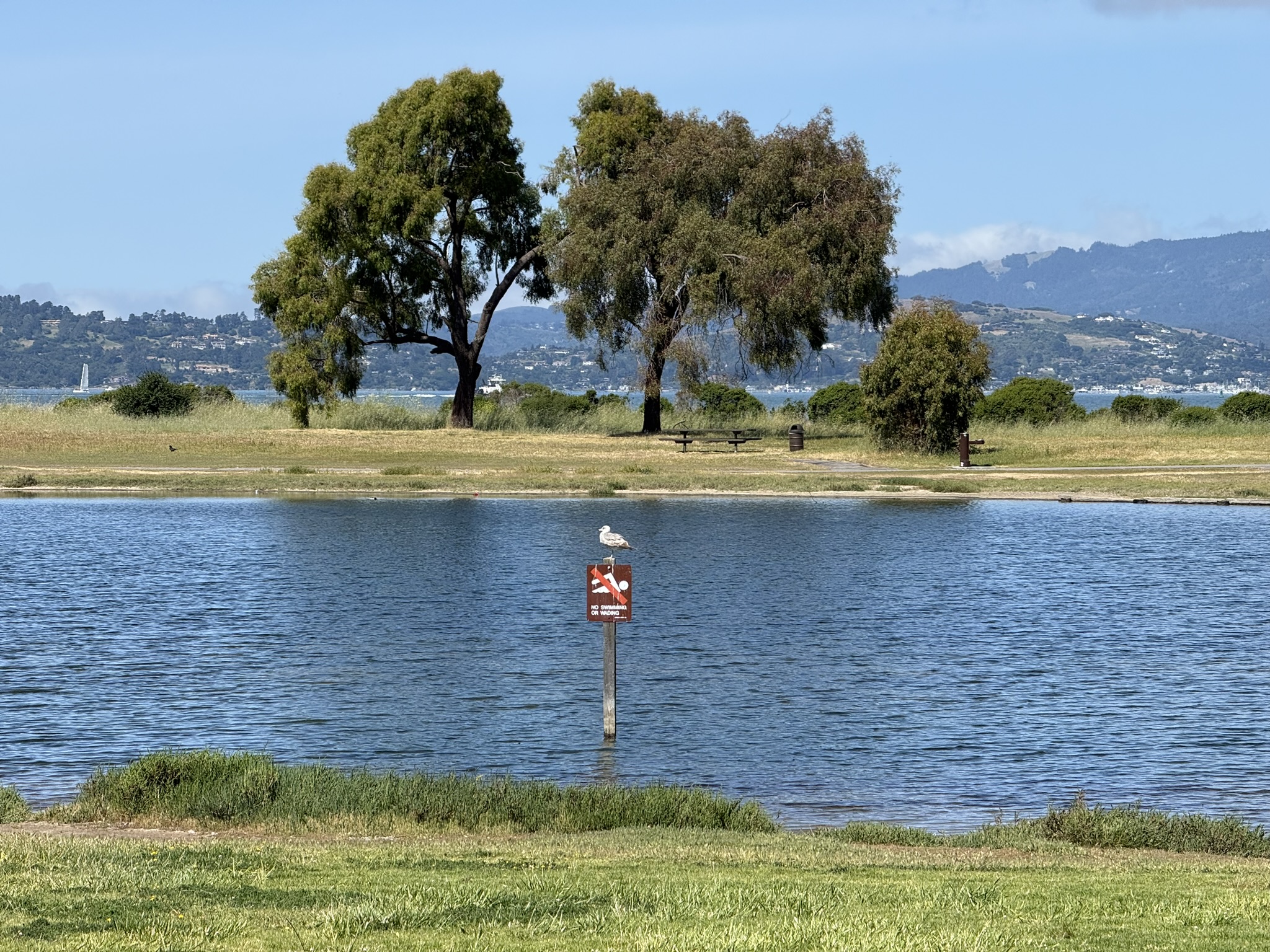 Miller/Knox Regional Shoreline