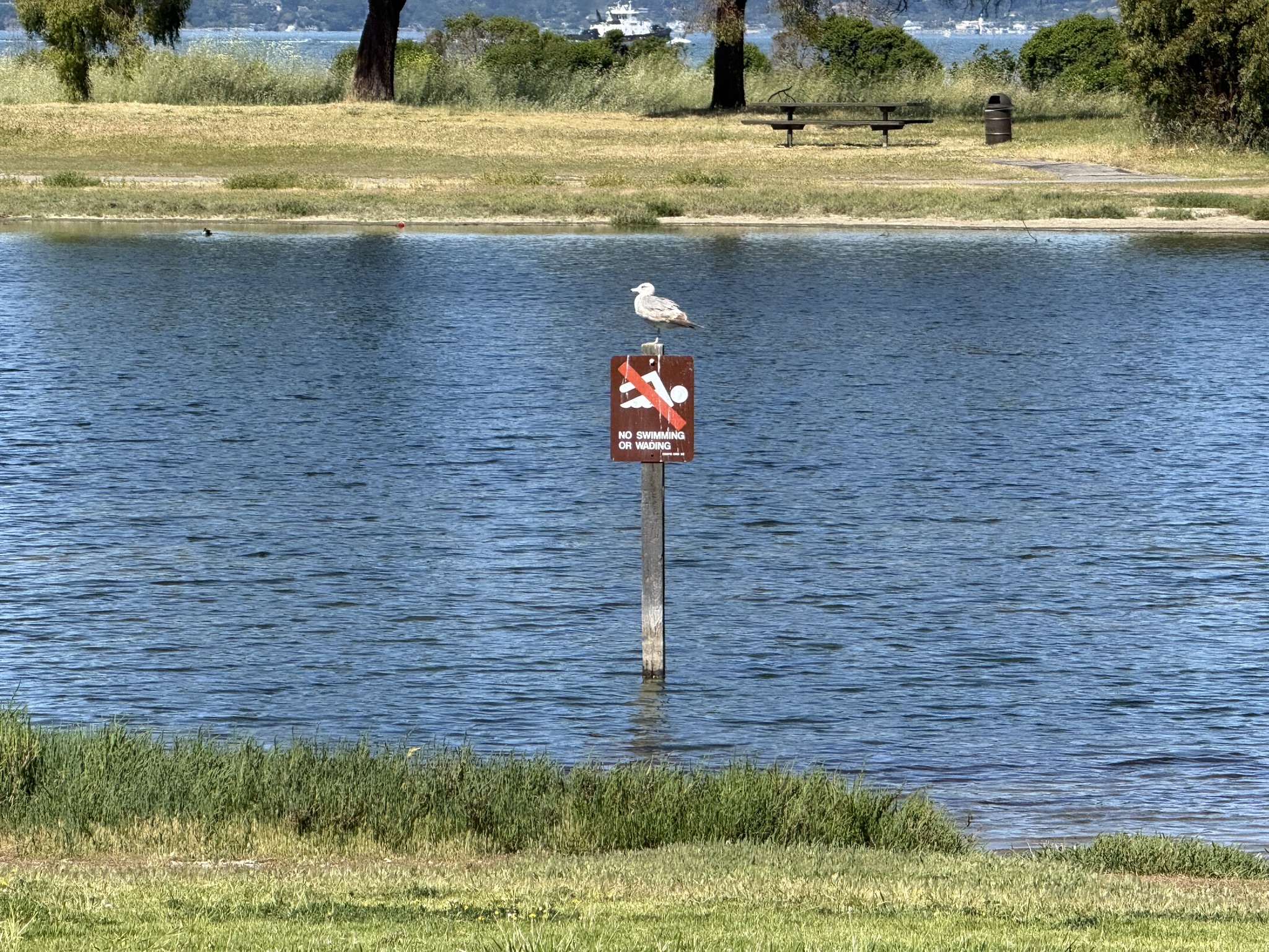 Miller/Knox Regional Shoreline