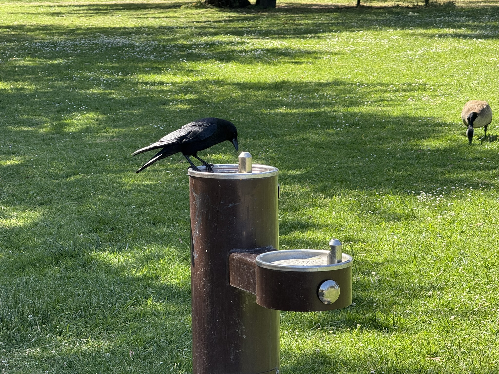 Miller/Knox Regional Shoreline