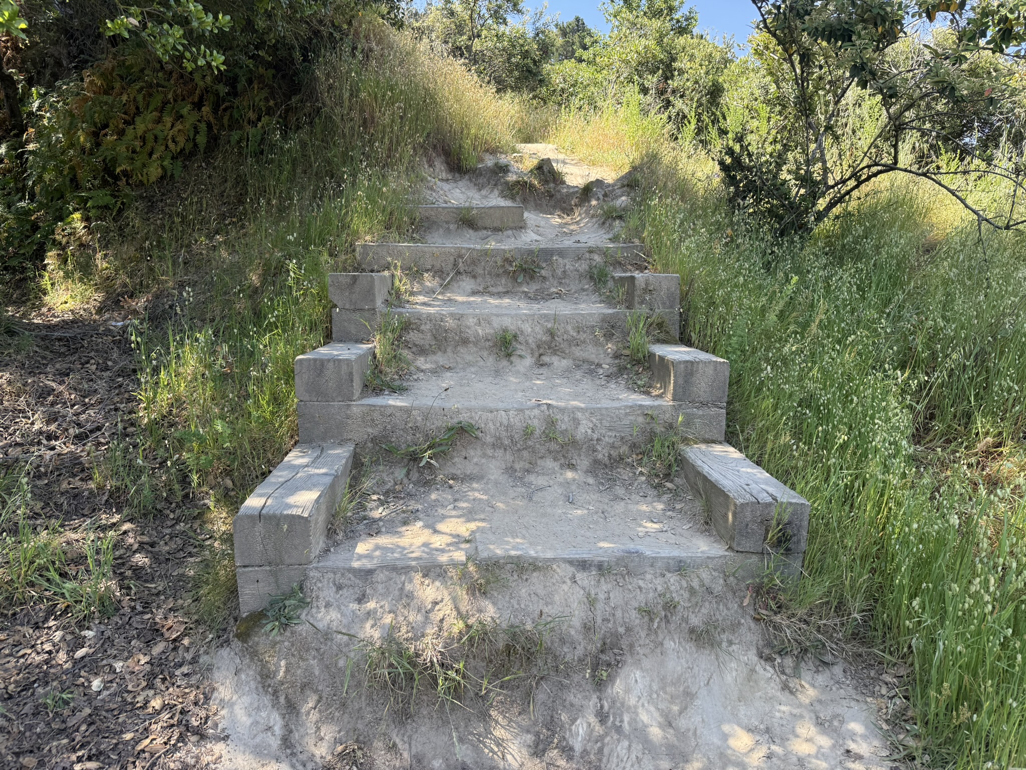Miller/Knox Regional Shoreline