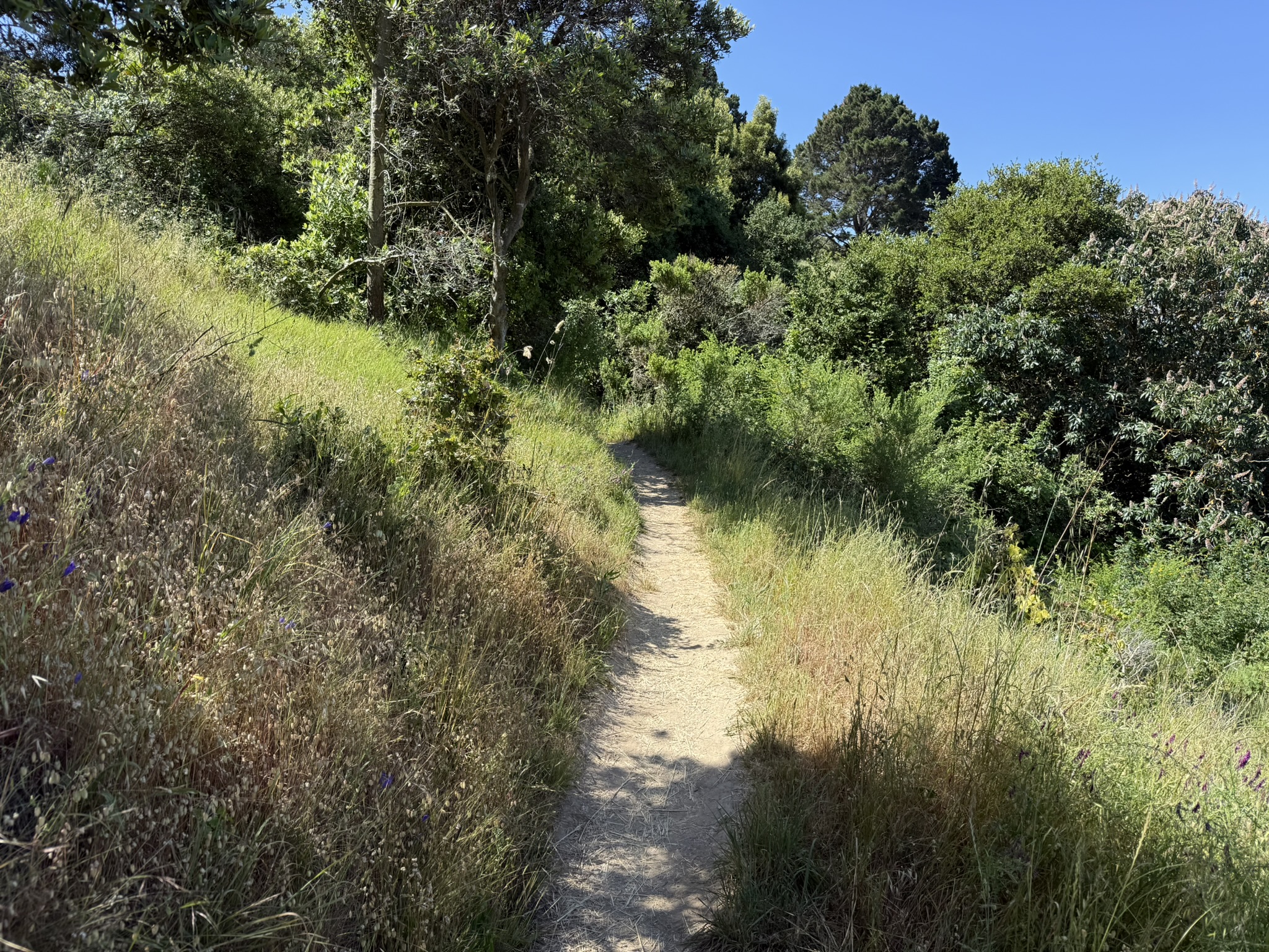 Miller/Knox Regional Shoreline