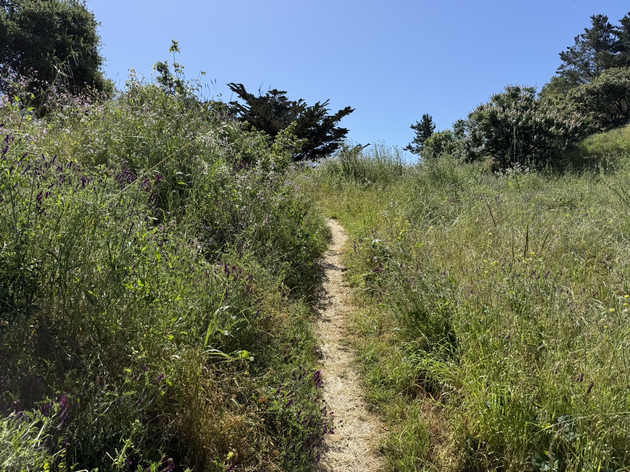 Miller/Knox Regional Shoreline